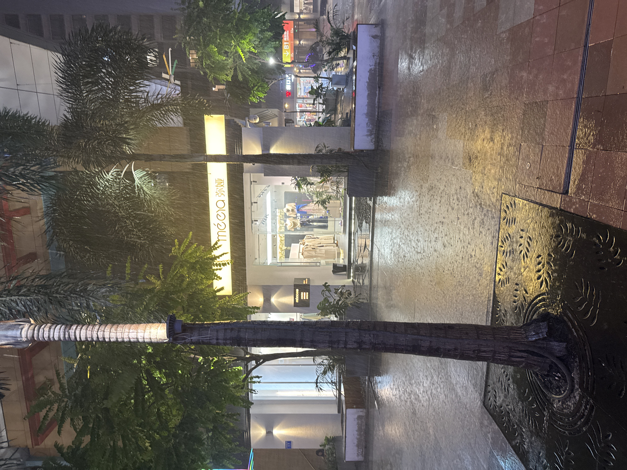 The scene captures a rainy night in Panyu District, China, focusing on an urban street. Dominating the foreground is a palm tree with a decorative metal grate at its base. The street appears wet, reflecting the ambient light. Across the street, there is a building with a storefront displaying clothing. Signage with the name "mééco" in both English and Chinese is visible on the storefront. Further down the street, there are other commercial buildings with illuminated signs and a pedestrian walkway. Rain is visibly falling throughout the scene. No people are clearly identifiable in the image.