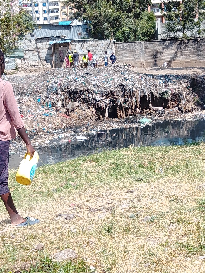 An outdoor scene in Nairobi, Kenya, depicts an urban environment marked by significant waste accumulation. In the foreground, partially cropped on the left, a person of African descent wearing a pink long-sleeved shirt, dark leggings, and light sandals walks to the right, carrying a yellow plastic jerrycan in their right hand. The ground here consists of dry, sparse grass and dirt.
Dominating the midground is a large mound of diverse refuse, including plastics, fabrics, and organic matter, forming a steep bank that descends into a dark, stagnant body of water flowing horizontally across the frame. Debris floats on the water's surface. On the refuse pile, a grey pig is observed foraging near the water, with another smaller animal partially visible nearby.
Behind the refuse, on higher ground, a group of approximately eight individuals is visible. They are standing or partially obscured near a rudimentary structure constructed from concrete blocks and corrugated metal, possibly a dwelling or informal building. A brick wall extends to the right of this structure. Further in the background, multi-story residential buildings with light facades and numerous windows are visible, interspersed with green trees and vegetation under a clear sky.