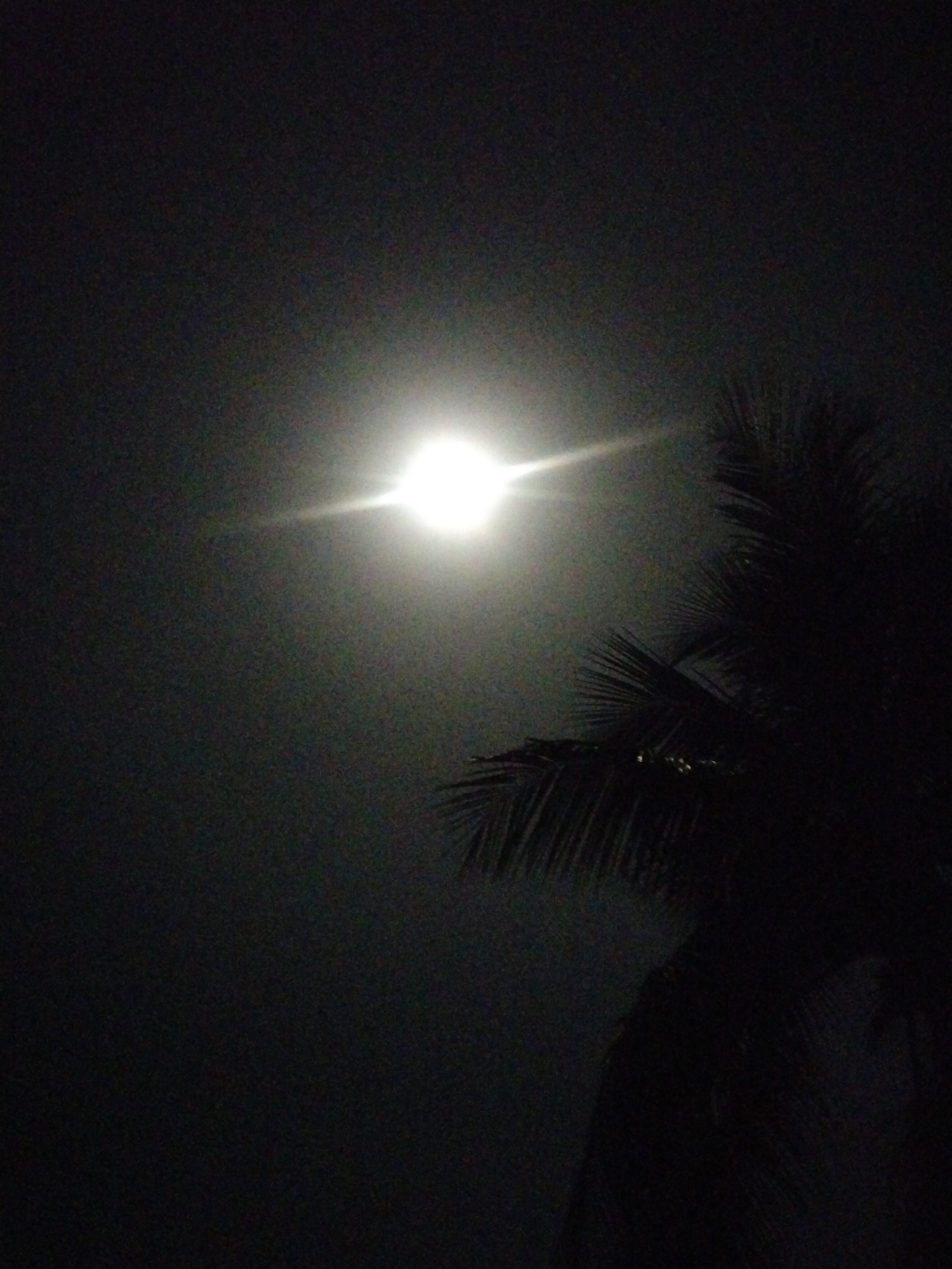 The image shows a bright light source, likely the moon, shining in a dark sky in Uyo, Nigeria. A palm tree is silhouetted in the lower right of the frame. The overall scene is dark and nighttime. There is no evidence of people or interaction.