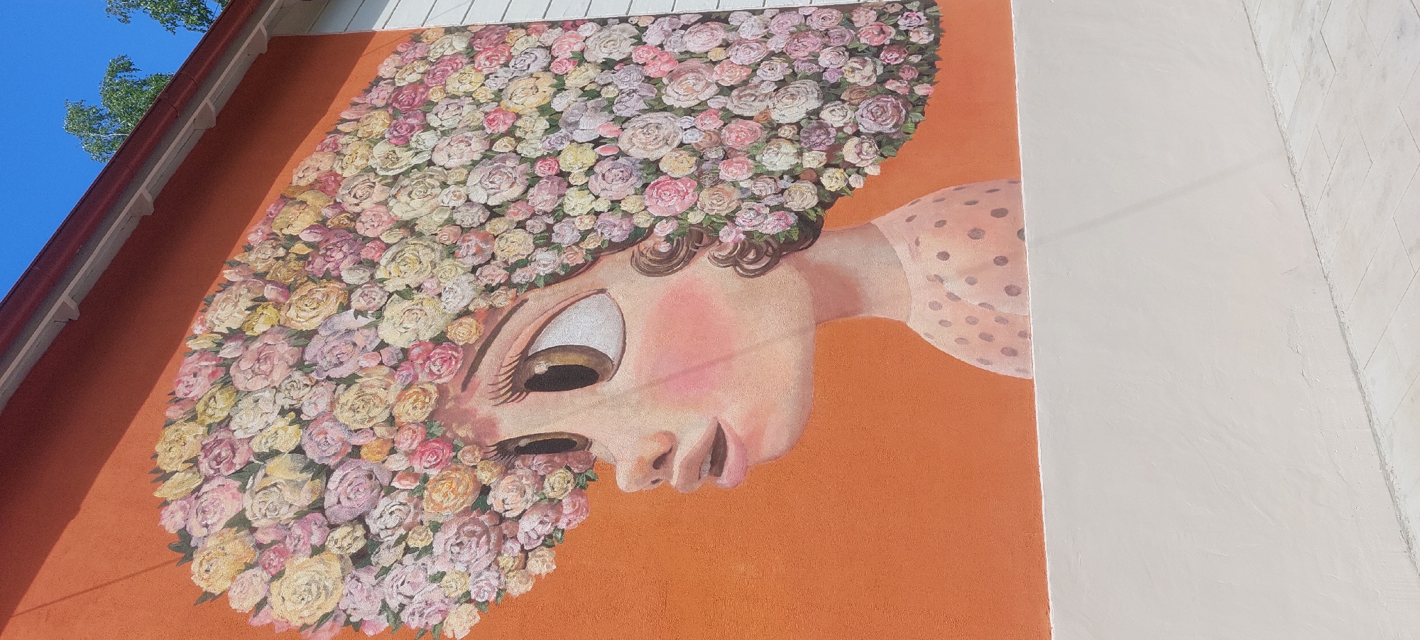 This is a mural painted on an orange wall, depicting a stylized portrait of a person. The person's head is entirely made of a dense arrangement of various pink, yellow, and white flowers, resembling roses. Only a portion of the person's face and neck are visible, emerging from the floral mass. The visible facial features include a large eye with thick eyelashes, a small nose, and lips. The person is wearing a light-colored garment with dark polka dots on the sleeve and neckline. The mural is painted in a bright, somewhat whimsical style.
To the left of the mural, a section of a white-sided building with a red gutter and white eaves is visible against a bright blue sky with some green tree branches. To the right of the mural, a different wall section is visible, painted a light off-white color. A thin, vertical line divides this wall from another section that appears to have a subtle brick or tile pattern.
The lighting suggests it is daytime, with the sun casting shadows from the building's eaves onto the orange wall. The overall impression is cheerful and artistic, likely a public art installation in Berdsk, Russia, given the location context. There is no visible text in the image.