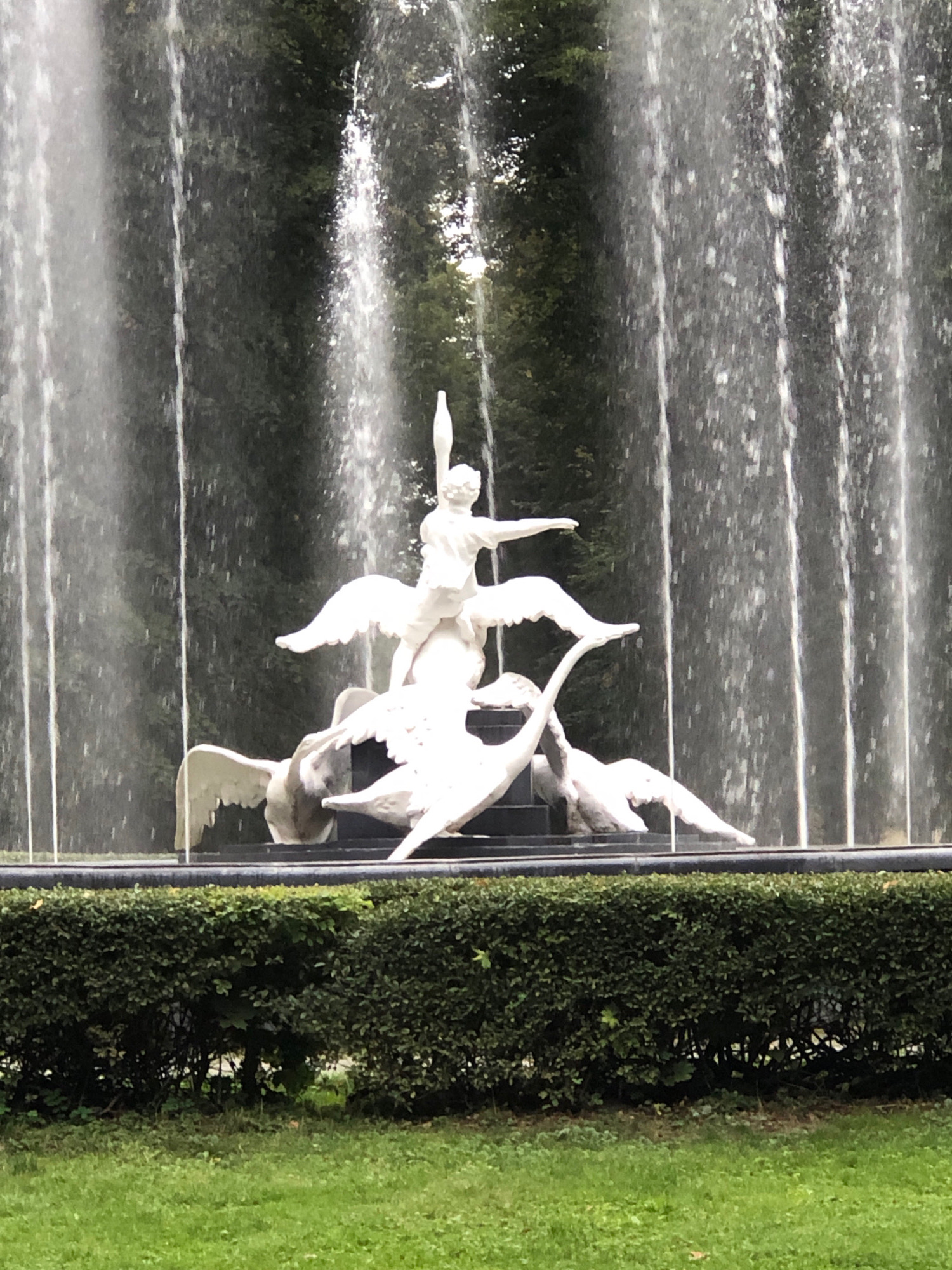 The image shows a white sculpture of a winged figure riding on swans, in front of a fountain. The sculpture is located in Lviv, Ukraine, likely in a park or garden. The fountain's water is cascading in vertical streams behind the sculpture, creating a misty effect. In the foreground, a neatly trimmed green hedge separates the fountain area from a grassy lawn. The overall scene appears serene and picturesque.