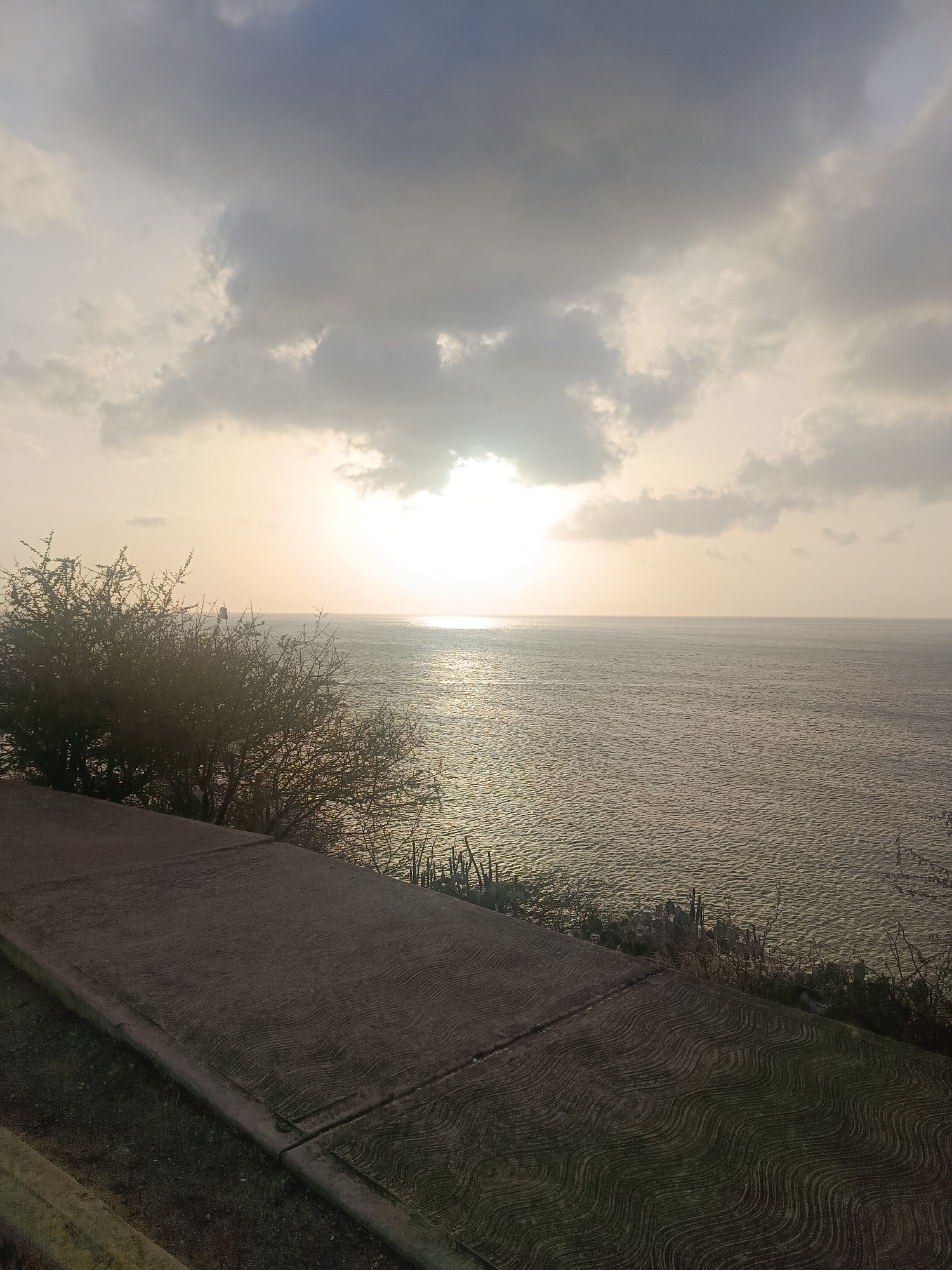 The image captures a view from a paved pathway or overlook in Juan Griego, Venezuela, facing the ocean at sunset or sunrise. The sky is overcast with grey clouds obscuring the sun, which is still visible as a bright spot through the cloud cover. The water reflects the sunlight, creating a shimmering effect. To the left, a dense, leafless shrub grows along the edge of the path. Beyond the path, the ocean stretches to the horizon. Cacti and other sparse vegetation grow along the bank where the path meets the ocean.