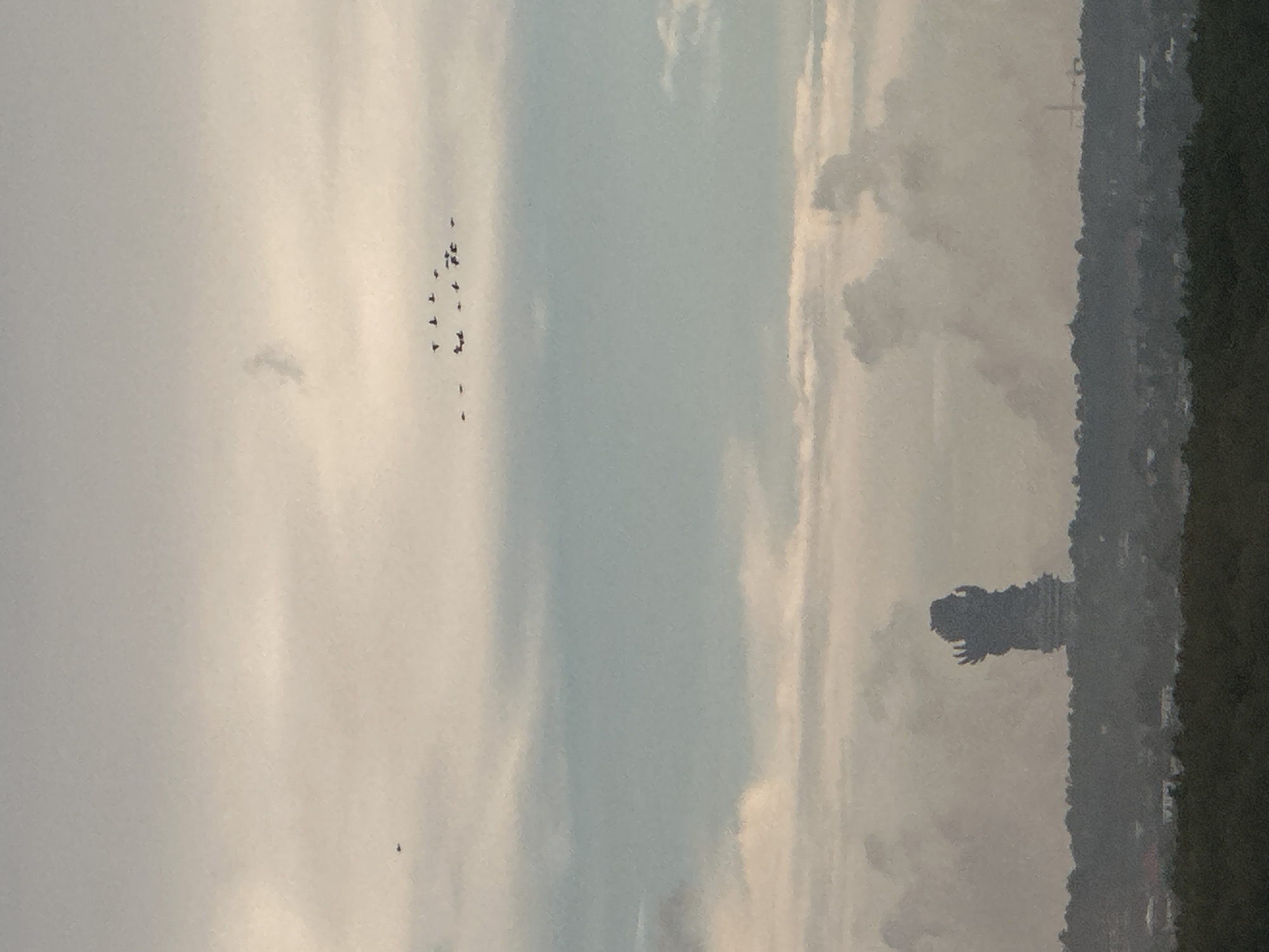 A landscape photo captures a flock of birds flying across a cloudy sky in Nusa Dua, Indonesia, with a silhouette of the Garuda Wisnu Kencana statue visible. The sky is overcast, and the surrounding environment appears natural.