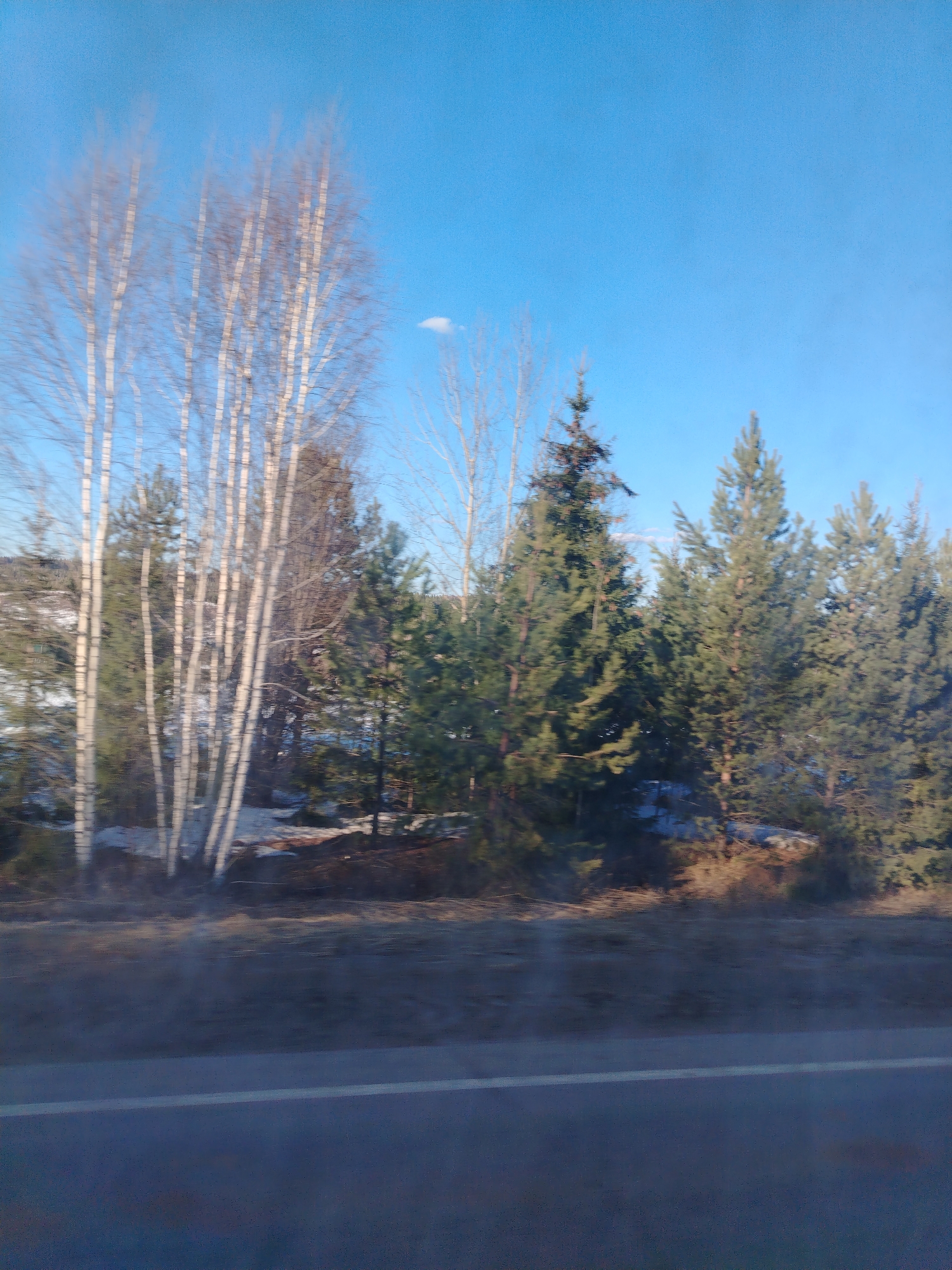 The image shows a roadside view of a forest landscape, captured from a moving vehicle. A paved road with a faint dividing line occupies the lower part of the frame. Beyond the road, the terrain ascends into a wooded area with a mix of deciduous and evergreen trees. Some birch trees with white bark are prominent on the left. Patches of snow can be seen on the ground among the trees, suggesting a winter or early spring scene. The sky is blue, mostly clear. The location in Shumovo, Russia cannot be determined.