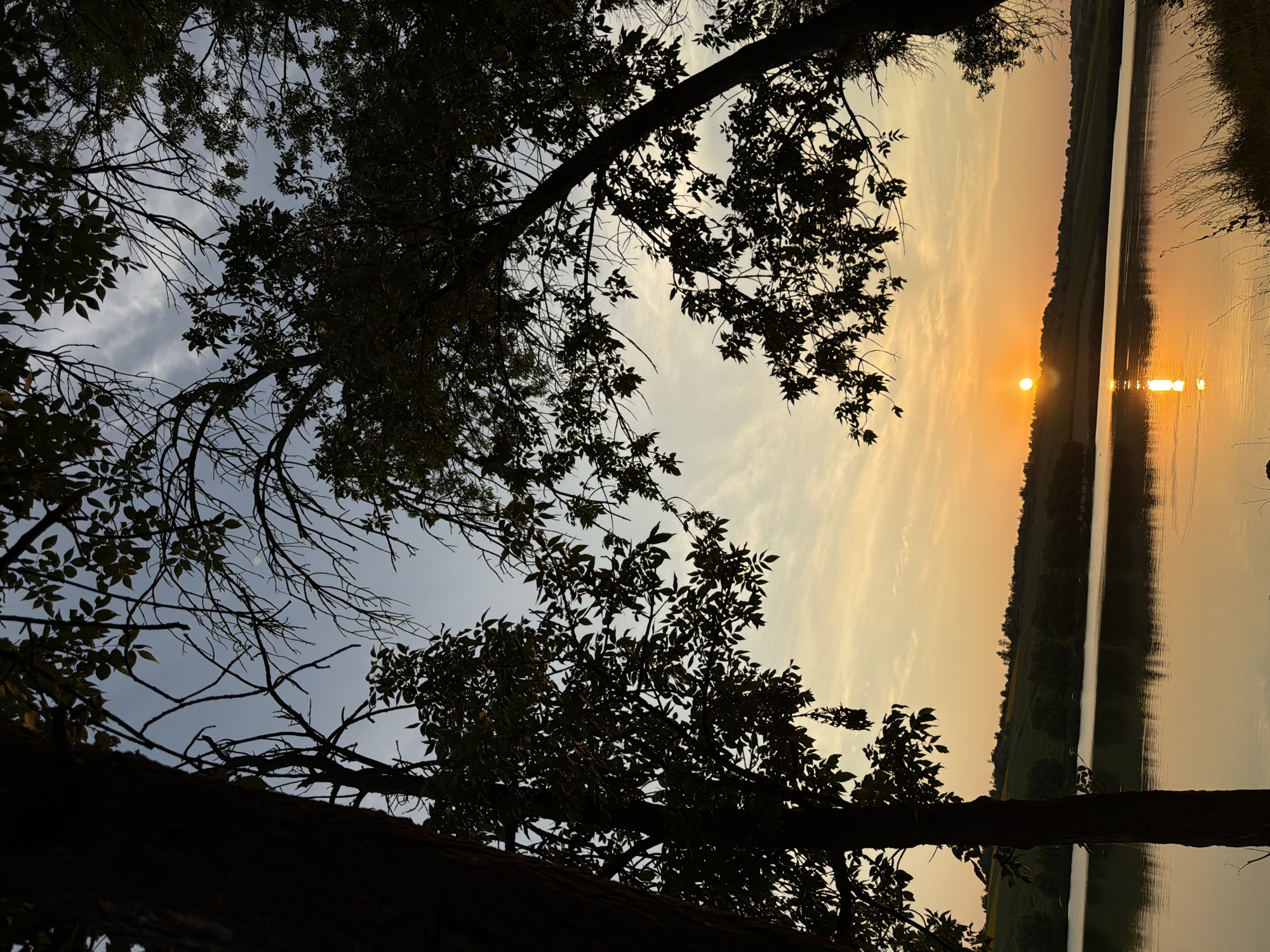 The image depicts a sunset over a body of water. Silhouetted trees frame the foreground and the sky, with branches and leaves obscuring parts of the view. The sun is low on the horizon, casting a warm orange glow across the sky and reflecting on the water's surface. In the distance, rolling hills are visible, covered in green vegetation and dotted with trees. The scene is tranquil and natural, suggesting an outdoor setting, possibly a park or a rural area. The location is identified as Strășeni, Moldova.