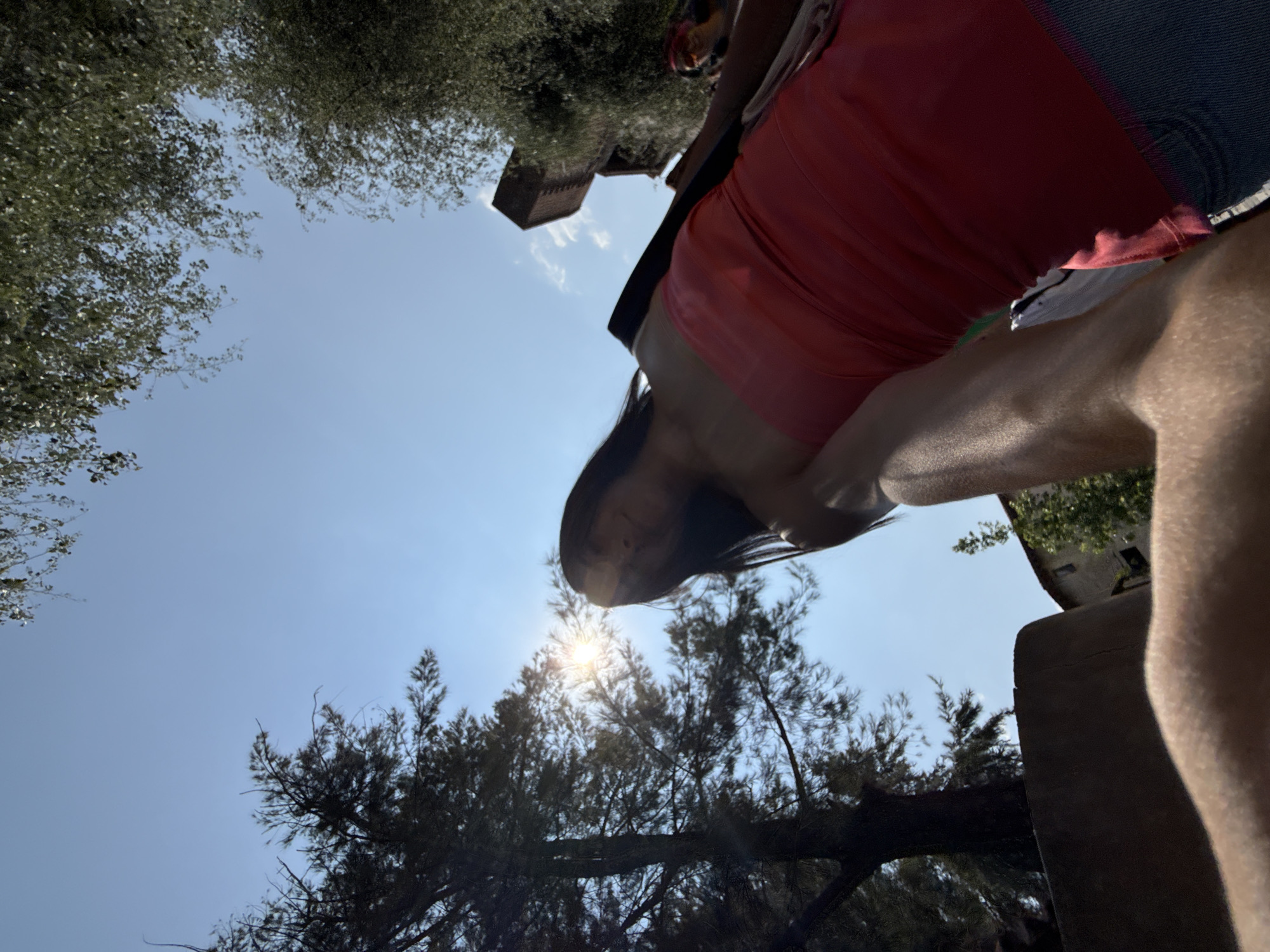 A low-angle shot looking up at a person from the perspective of someone lying on their back, possibly in Domingo Arenas, Mexico. The person is wearing a red top and blue jeans. The sun is visible through the trees and a building, or a tower, can be seen in the background.