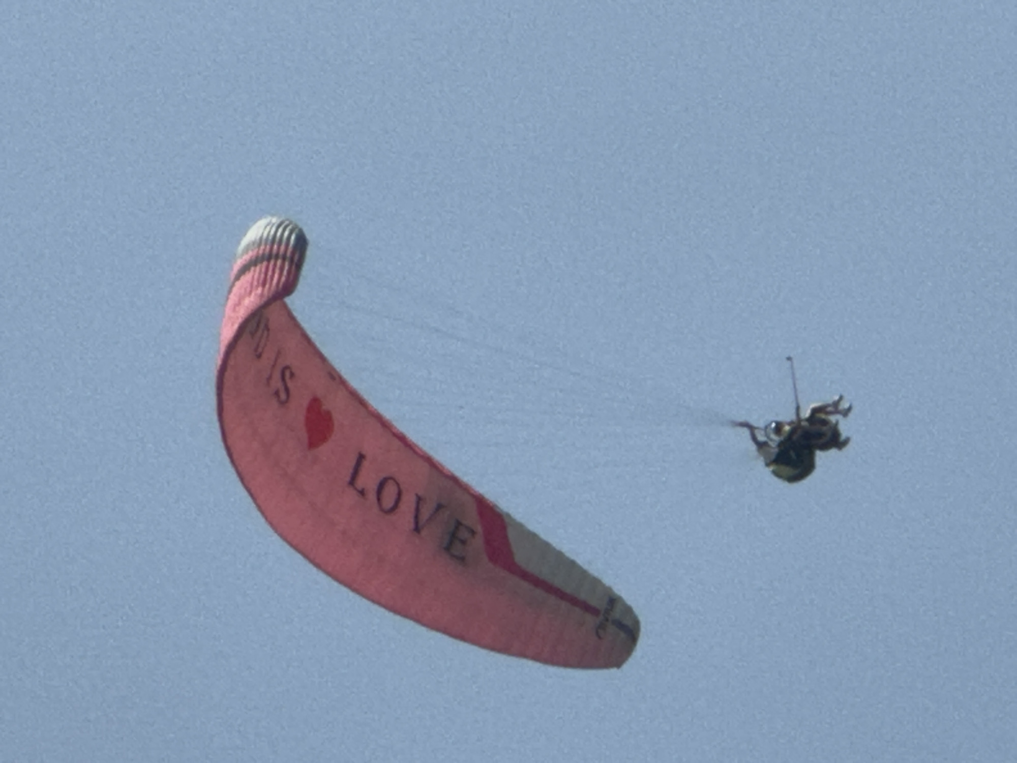 In the sky above Budva, Montenegro, a paraglider with a pink canopy emblazoned with the words "THIS IS LOVE" and a red heart is descending. Attached to the paraglider are two individuals, a tandem pilot and a passenger, both wearing helmets and harnesses. They are suspended beneath the canopy, appearing to be in mid-flight against a clear blue sky. The paraglider's design also features black and white striped accents along its trailing edge.