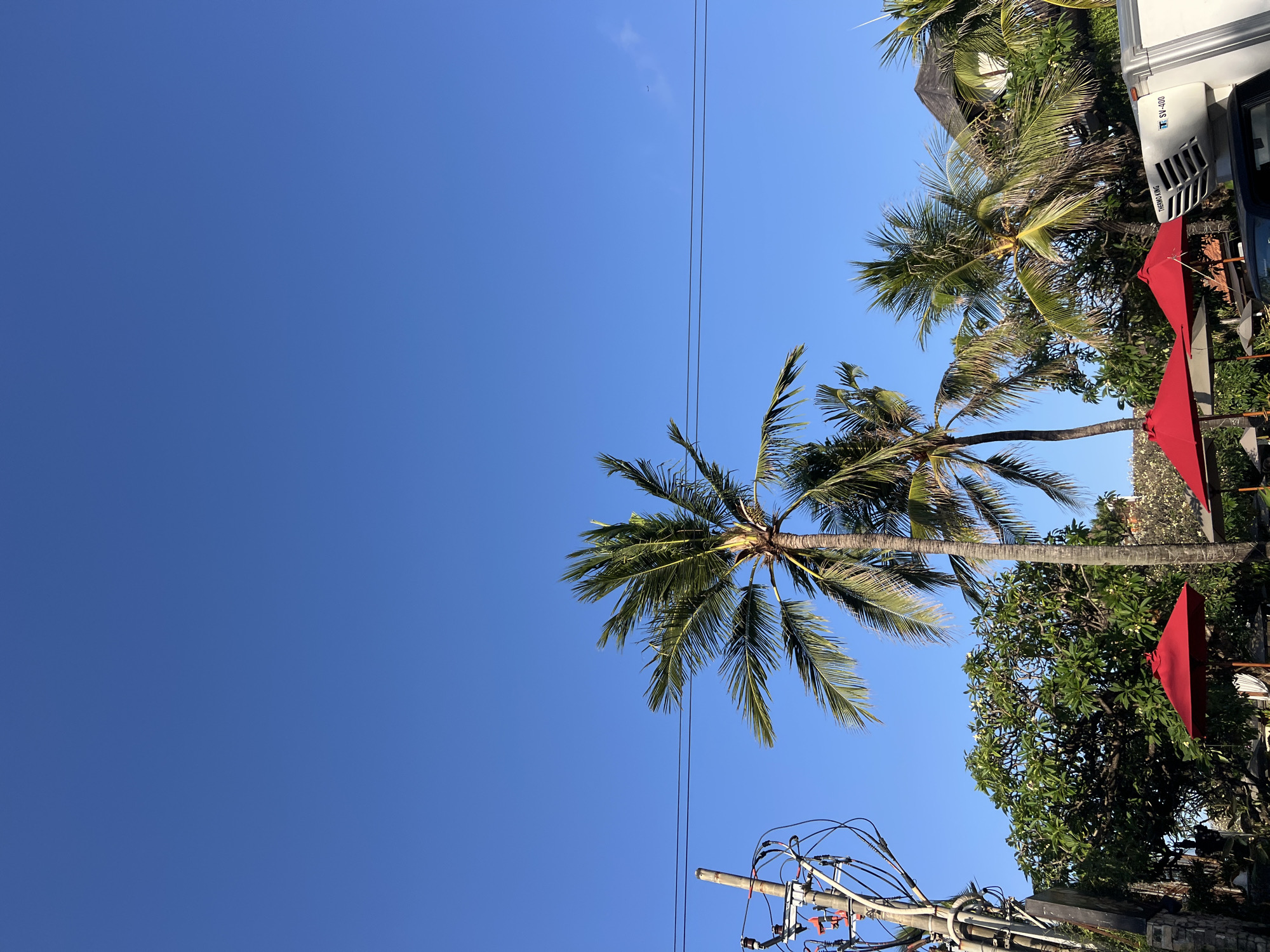 A clear blue sky is overhead, with two power lines stretching horizontally across the upper third of the image. In the foreground, a utilitarian utility pole with numerous wires and electrical components stands on the left. To its right, the fronds of several palm trees reach upwards. Below the palm trees, two bright red umbrellas are open, suggesting a seating or dining area. A white refrigeration unit, labeled "THERMO KING SV-400", is visible on the right side of the image, partially obscuring a dark vehicle and some foliage. The background shows a building with a dark, pitched roof, also surrounded by trees. The overall scene evokes a tropical atmosphere in Kuta, Indonesia, likely during daytime.