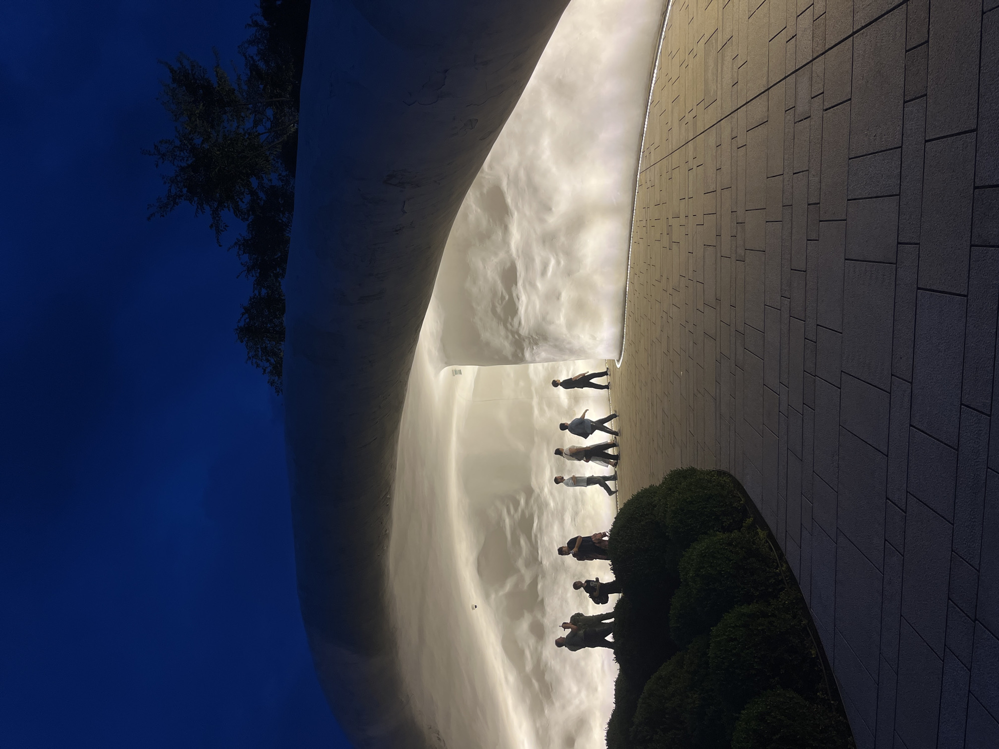 This nighttime image captures a modern architectural water feature in a public park, likely located in Krasnodar, Russia. A large, curved wall functions as a brightly illuminated water cascade, with the water appearing as a luminous, textured white sheet flowing downwards.
Silhouetted against this glowing backdrop are several individuals, approximately six to eight people, either walking along a paved area or standing and observing the water. Their dark figures are sharply defined against the intense light of the cascade. To the right of the water feature, a geometrically patterned pathway made of dark, rectangular tiles extends into the distance, with a subtle light strip illuminating its edge.
In the foreground, a row of neatly trimmed, dark green bushes lines the edge of the pathway. Above the curved structure, a deep blue night sky is visible, with the dark silhouette of a tree's branches extending into the upper left corner. The scene presents a serene yet dramatic atmosphere, highlighting the interplay of light, water, and human presence in a contemporary urban landscape at night. There is no visible text.