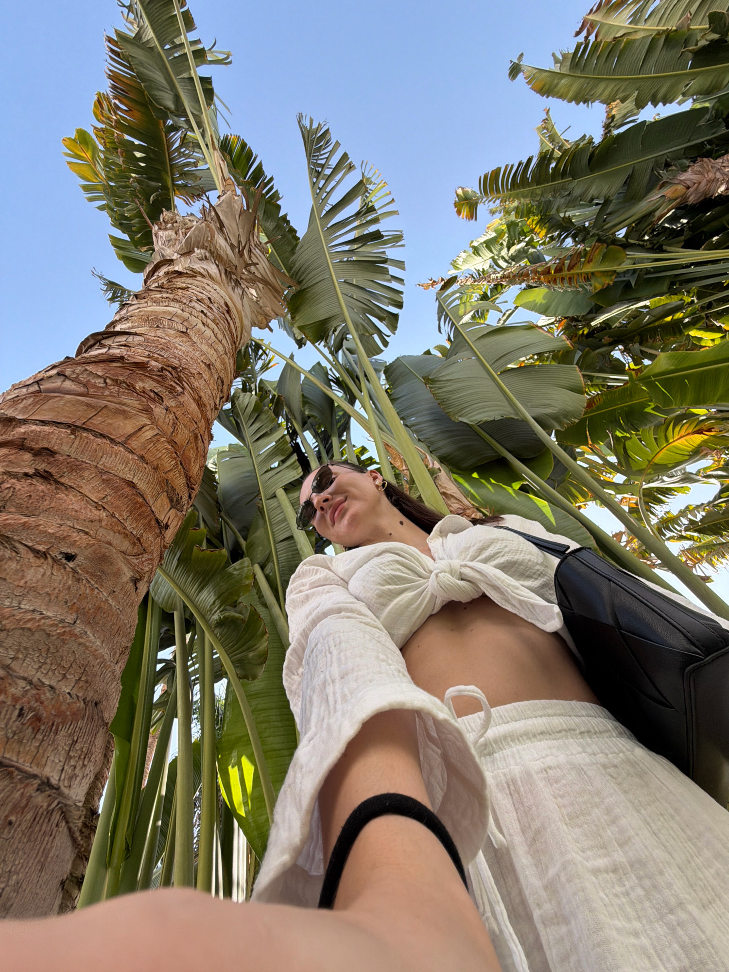 The image shows a low-angle perspective of a person from the chest down, standing outdoors near a large, rough-barked tree trunk and lush green foliage. The person is wearing a white, tied-front top that exposes their midriff, and matching white pants. They are also carrying a black, quilted handbag over their shoulder. Sunglasses are perched on their nose. The background consists of large, fan-like green leaves and a clear blue sky, suggesting a tropical or sub-tropical environment. The specific location within Sharm El Sheikh, Egypt, cannot be determined from the visual information provided.