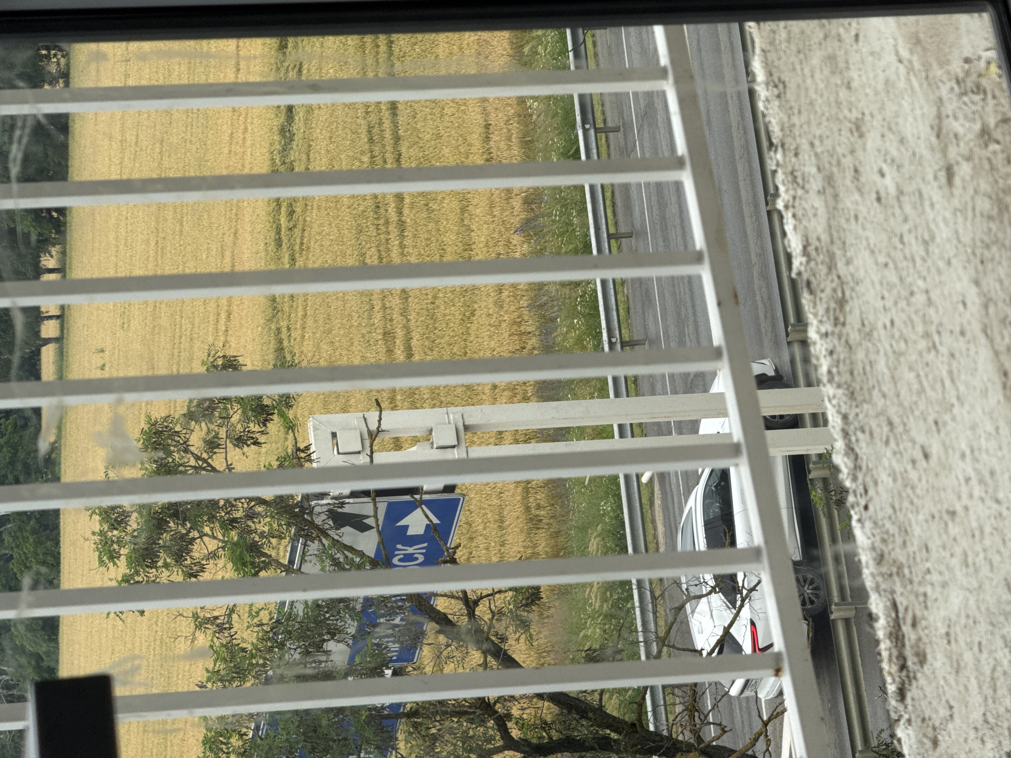 This is a photograph taken through a white metal fence, looking out at a rural or semi-rural landscape. In the foreground, the fence is prominent, with white vertical bars. Beyond the fence, a field of golden-brown crops, likely wheat or barley, stretches into the distance. Trees are visible along the horizon line.
In the mid-ground, a road runs horizontally across the frame, separated from the field by a metal guardrail. A white SUV is driving on the road. To the left of the road, there is a blue traffic sign with white lettering and a white arrow pointing to the right. A tree with sparse foliage is situated to the left of the sign.
The overall scene suggests a view from a building or elevated position overlooking a highway adjacent to agricultural land. The presence of the traffic sign and the highway indicates an area accessible by road transport.
The location is specified as Mikhaylovsk, Russia, suggesting this is a view from a place within or near that city, likely on the outskirts given the agricultural landscape.