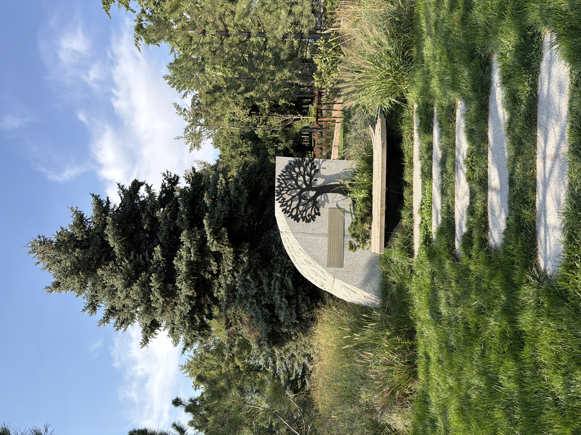 This is a daytime, eye-level, outdoor photograph of a memorial monument in a park in Almaty, Kazakhstan. The monument is a large, light gray stone, curved on one side and flat on the other. A silhouette of a tree with its branches spread is etched into the flat surface of the stone. Below the tree silhouette is a plaque with text inscribed on it. In front of the monument is a wooden bench. A pathway of stepping stones leads from the foreground to the bench. The area around the monument and pathway is covered in lush green grass and tall, wispy ornamental grasses. In the background, several coniferous trees and deciduous trees are visible, forming a dense forest. The sky is blue with scattered white clouds.