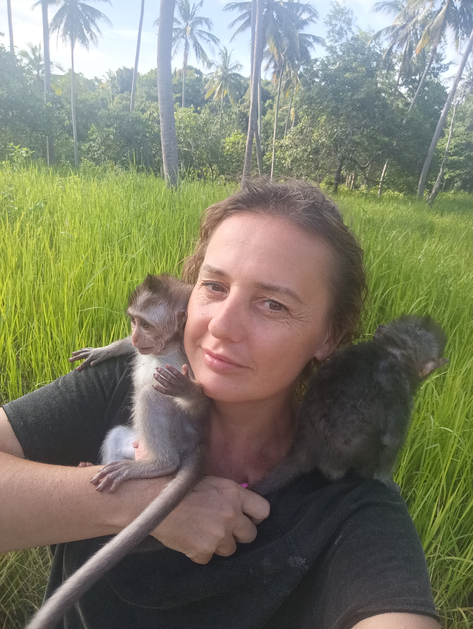 In Baan Thong Nang, Thailand, a woman stands in a grassy field, likely a rice paddy, with two young monkeys clinging to her. One monkey is light gray and is held in her arms, while the other is a darker gray and sits on her shoulder. Palm trees are visible in the background against a bright, clear sky.