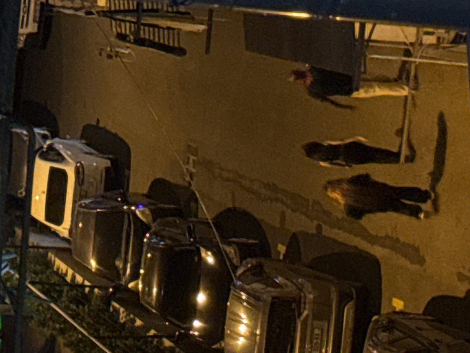 In an outdoor urban setting, possibly in Tbilisi, Georgia, a nighttime scene unfolds on a paved surface bordered by a low wall and vegetation. Several vehicles are parked or driving on the road. In the foreground, three individuals are visible. One person, wearing a black top and pants, walks away from the camera. To their right, another person, with dark hair and a dark outfit, stands facing them. Further to the right, a third person, wearing a dark t-shirt and light-colored pants, walks away from the camera, with their left arm raised. The area is illuminated by artificial lighting, casting long shadows on the ground. The environment appears to be a street or parking area, with buildings and railings visible in the background.