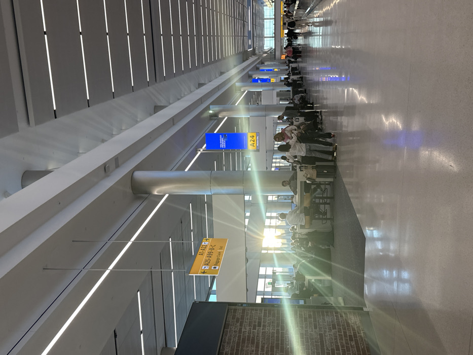 An airport hallway with a high ceiling and modern lighting. People are seated and standing, likely waiting at gates. Directional signs indicate gate numbers and baggage claim. The scene is well-lit and appears to be in a busy terminal. A brick wall adds texture to the otherwise modern interior. The orientation of the image is vertical.