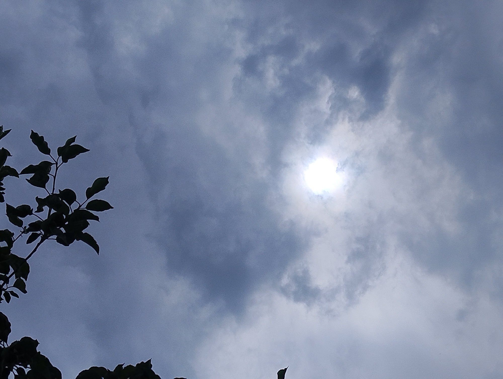 An overcast sky is visible, with clouds of varying shades of gray dominating the frame. The sun is a bright, diffused orb in the center of the image, its light peeking through the thick cloud cover. Silhouetted branches and dark green leaves of a tree frame the top left portion of the image, creating a stark contrast against the pale sky. The overall lighting suggests it is daytime, though the heavy clouds obscure direct sunlight.