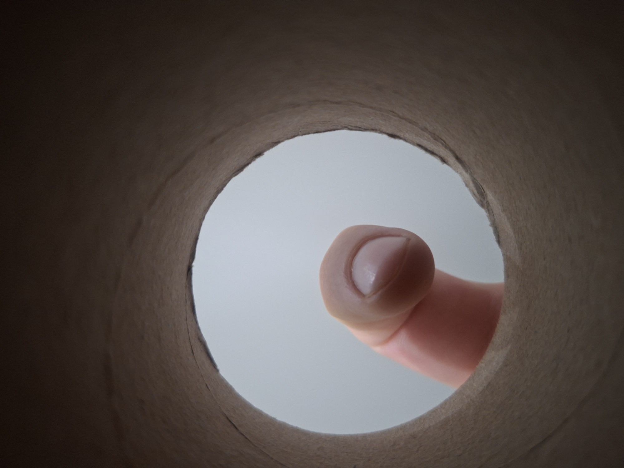 The image shows a finger poking through the end of a cardboard tube. The tube's interior is visible, and the background beyond the finger is a uniform light gray. There is no information in the image to connect it to the city of Kokshetau, Kazakhstan.