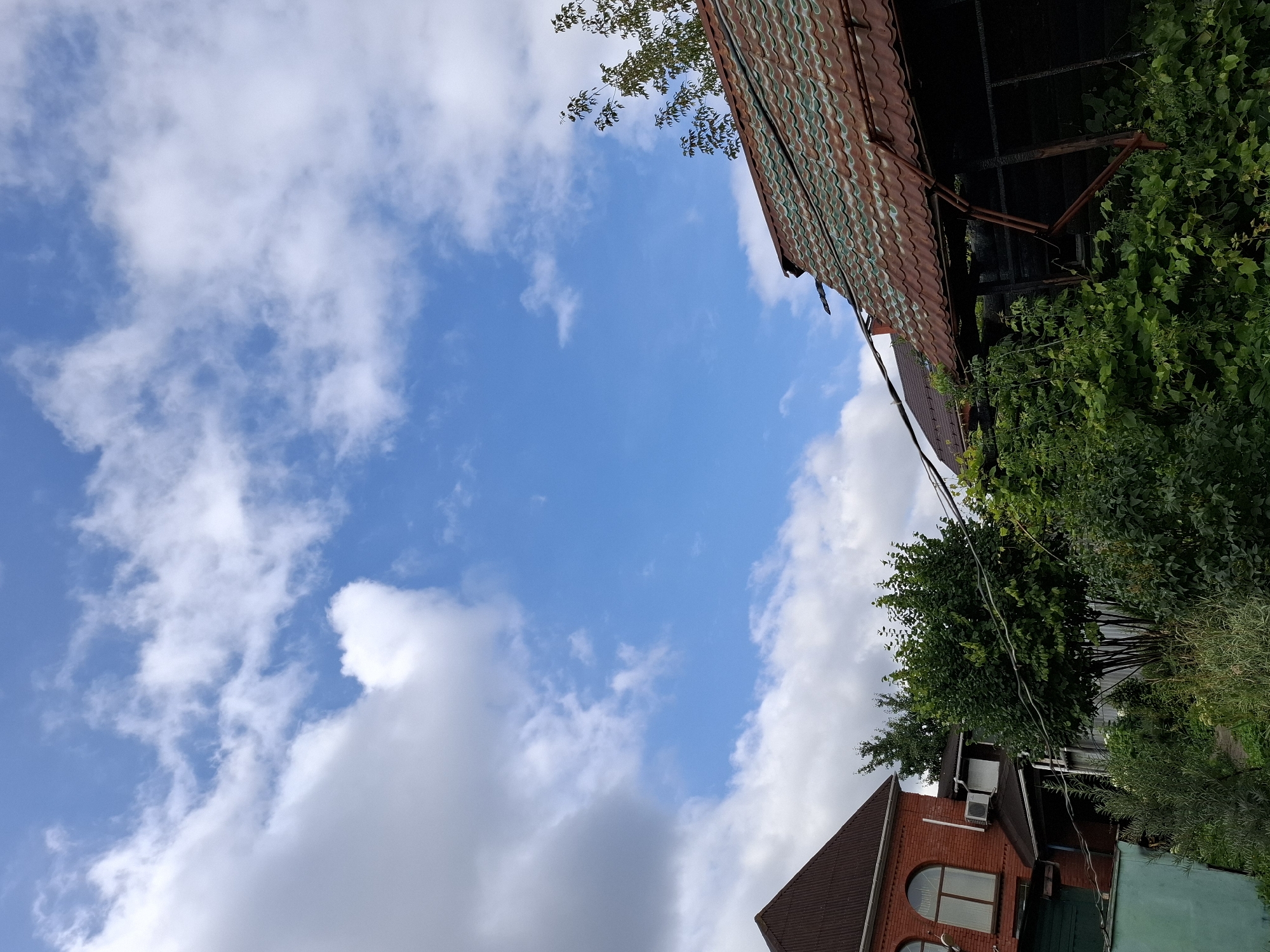 The image depicts a cloudy sky over a rural or suburban setting. In the foreground, there are parts of two buildings, a red brick house with arched windows on the left and a building with a rusty, tiled roof on the right. Lush green vegetation, including trees and bushes, partially obscures the view of the buildings. Electrical wires are visible strung between the structures. The sky is a bright blue with scattered white clouds. The overall scene suggests an outdoor environment, possibly a backyard or a lot with residential structures.