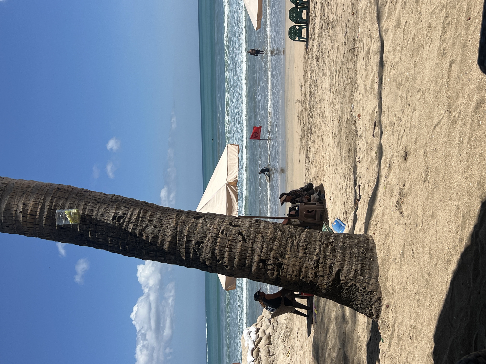A sunlit beach scene unfolds in Kuta, Indonesia. In the foreground, the rough, textured bark of a large palm tree dominates the left side of the frame, its shadow casting across the sandy ground. Beyond the tree, beachgoers are visible. Two individuals are seated under a thatched umbrella, one in a black shirt and cap, the other in a dark patterned top and hat. Several empty green plastic chairs are positioned further back on the sand. The ocean stretches to the horizon under a bright blue sky with scattered white clouds. Gentle waves break on the shore. In the water, a person in dark clothing is wading, and further out, a lone figure stands in the surf. A small red flag on a pole is planted in the sand near the water's edge. Sandbags are piled up on the left side of the beach, near the water.