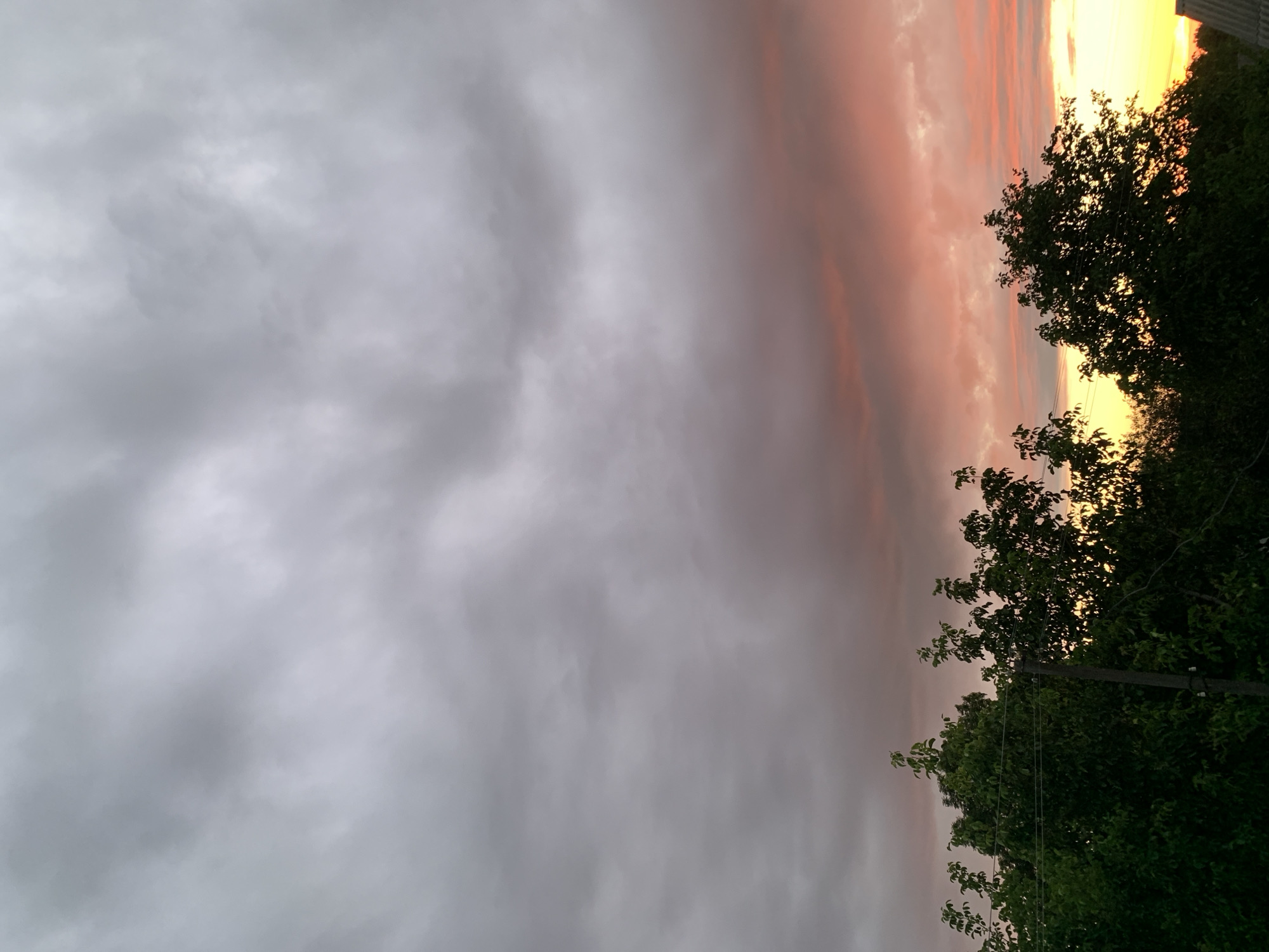 The image depicts a dusky sky over Tkhorivka, Ukraine, featuring a transition from gray clouds to vibrant sunset hues of pink and orange near the horizon. Silhouetted against this backdrop are the tops of lush green trees and a utility pole. The bottom right corner shows a glimpse of a roof, indicating a residential area. The scene is static, with no visible people or ongoing actions. The environment is characterized by the natural elements of the sky and foliage, suggesting an outdoor, possibly rural or suburban, setting.