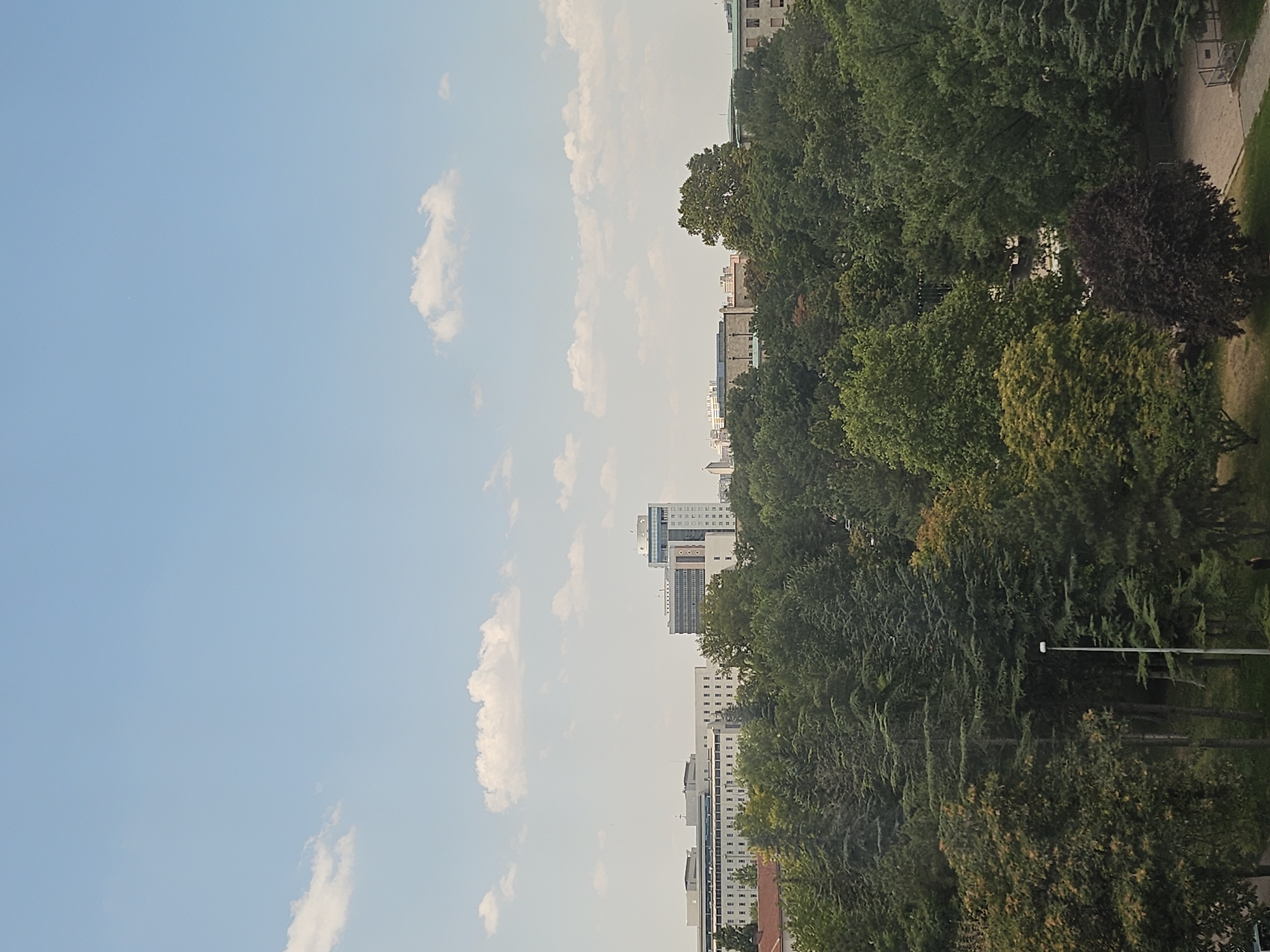 A wide shot captures a cityscape dominated by a lush, dense canopy of trees in the foreground. Behind the trees, several modern buildings rise against a pale blue sky dotted with wispy white clouds. The tallest building, located slightly right of center, is a contemporary structure with a lighter upper section featuring a curved glass facade. To its left, a long, low-rise building with a white exterior and numerous windows spans a significant portion of the background. The scene appears to be a daytime view from a higher vantage point, overlooking a park or green space within an urban environment.