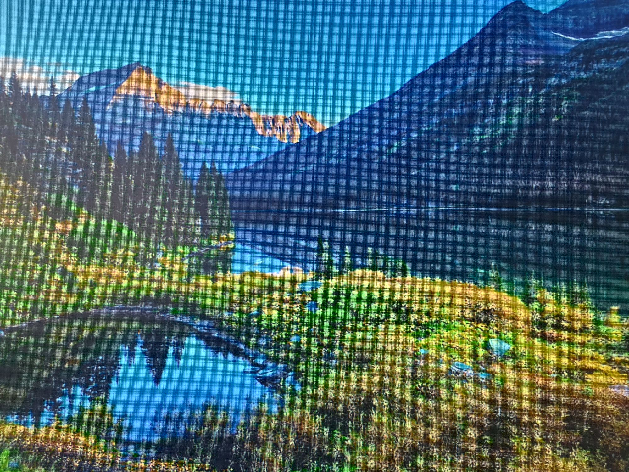 The image depicts a serene mountain landscape with a lake. In the foreground, lush green and yellow foliage borders a calm body of water that reflects the surrounding scenery. Tall, dark green coniferous trees line the slopes of the mountains that rise majestically in the background. The peaks of these mountains are bathed in warm golden light, suggesting either sunrise or sunset, and are partially covered in snow. The sky above is a clear, vibrant blue. The reflection in the lake is clear, showing the mountains, trees, and the sky. There are no people or man-made structures visible in the image.
This image is not located in Tashkent, Uzbekistan. It is a natural landscape scene.