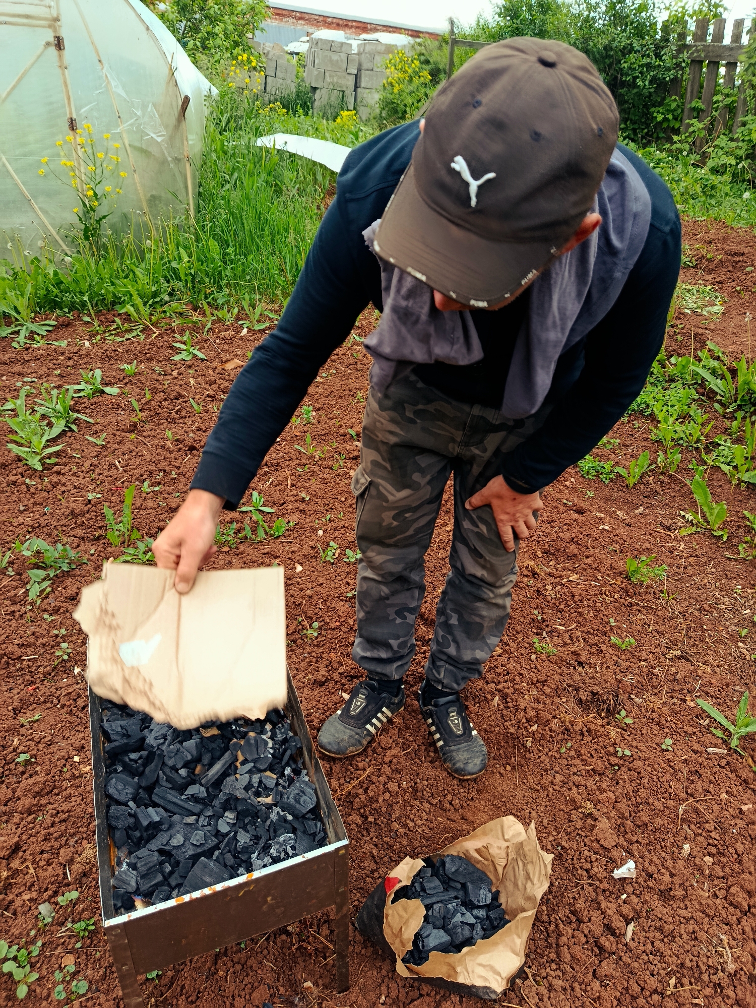 An adult individual, gender not explicitly discernible, is depicted in a bent-over posture, attending to a charcoal grill placed directly on reddish-brown soil. The person wears a dark brown baseball cap with a white Puma logo, a dark long-sleeved garment, camouflage-patterned cargo pants, and dark athletic shoes with white stripes. A light grey/purple cloth or towel is draped around their neck. The right hand holds a piece of crumpled, light brown cardboard over a metal grill (mangala) filled with numerous pieces of black charcoal, indicating an action related to igniting or fanning the coals. The left hand rests on the left thigh. Adjacent to the grill on the ground, a partially open brown paper bag containing additional charcoal is visible. The surrounding ground is tilled, reddish-brown soil with sparse green shoots and weeds. In the background to the left, a translucent greenhouse structure is visible, with yellow-flowering plants growing nearby. Behind the greenhouse, a brick building and stacked concrete blocks are present. To the right of the person, a dense area of green foliage and a weathered wooden fence are visible. The scene takes place in a garden or backyard setting within the city of Фоки, Russia.