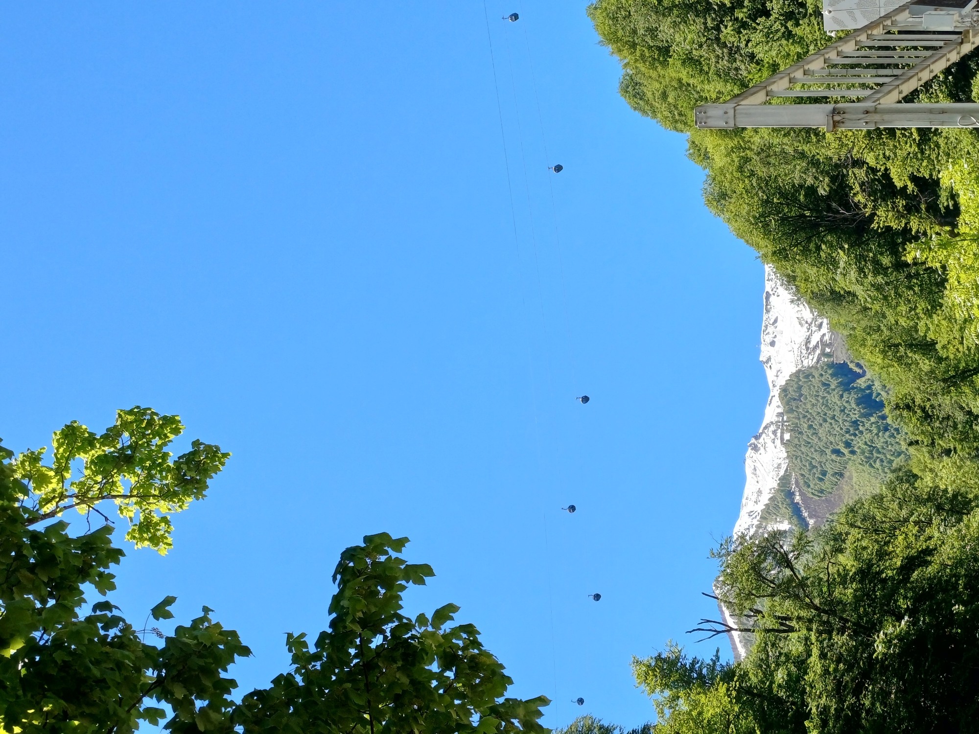 The image, rotated, presents a view upwards towards a clear, bright blue sky dominating the central frame. Stretching diagonally across the sky are multiple thin wires from which small, dark cable car gondolas (pods) are suspended, appearing as if ascending or descending. On the left side, the vibrant green foliage of tree branches with broad leaves extends into the sky, partially framing the view. On the right side, more dense green trees are visible, and behind them, a majestic snow-capped mountain rises prominently. A metal structure, likely part of a cable car station or support tower, is visible in the upper right corner, partially obscured by trees.
The scene depicts a functional cable car system in a mountainous, forested environment. No specific human activity is visible, but the presence of the cable cars suggests transportation or scenic tourism. The bright lighting indicates daytime, likely a sunny morning or afternoon, with clear weather. The snow on the distant mountain implies a high elevation or a colder season, contrasting with the lush green foreground trees. There is no visible text in the image. The location context indicates this is in Esto-Sadok, Russia, which is a known mountain resort area.