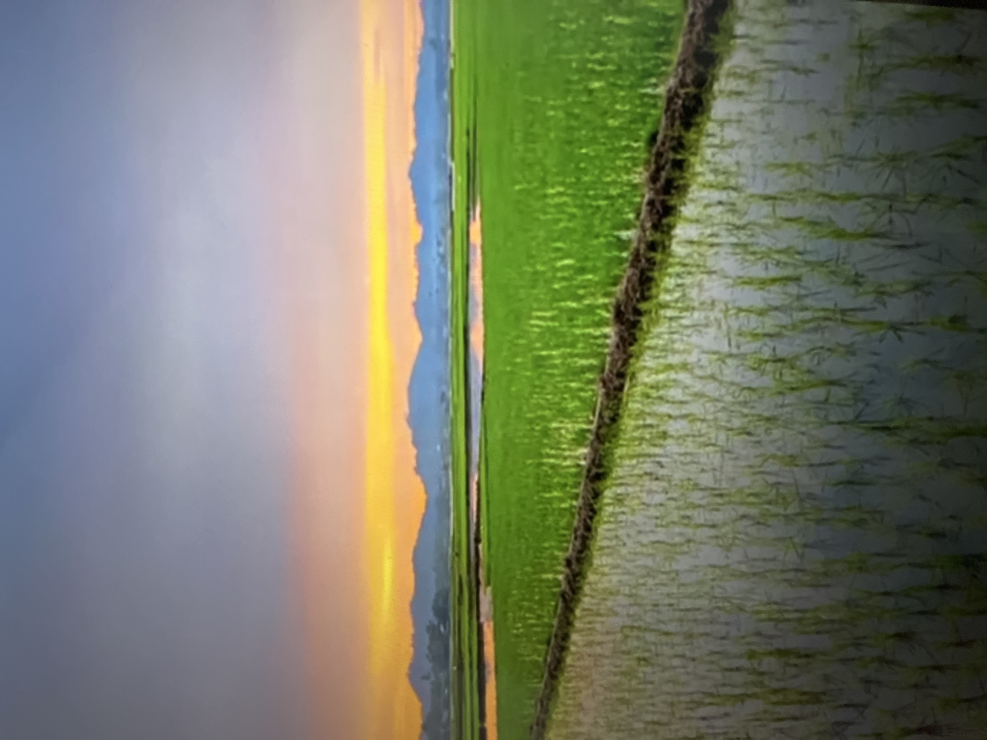 The image depicts a serene rural landscape at dusk. The sky transitions from a deep blue at the top to a vibrant orange and yellow gradient near the horizon, suggesting either sunrise or sunset. In the midground, lush green rice paddies stretch across the scene, reflecting the sky's colors. Water is visible in the paddies, with rows of young rice plants emerging from the surface. Beyond the fields, a range of distant, hazy blue mountains forms a natural backdrop. The foreground features more flooded rice paddies, with the reflections of the rice plants clearly visible. A dark, narrow band, possibly a dike or path, separates the foreground paddies from the midground fields. The overall atmosphere is tranquil and emphasizes the beauty of agricultural land. The location is not specified beyond the general description of a rural setting in Unknown, Unknown.
