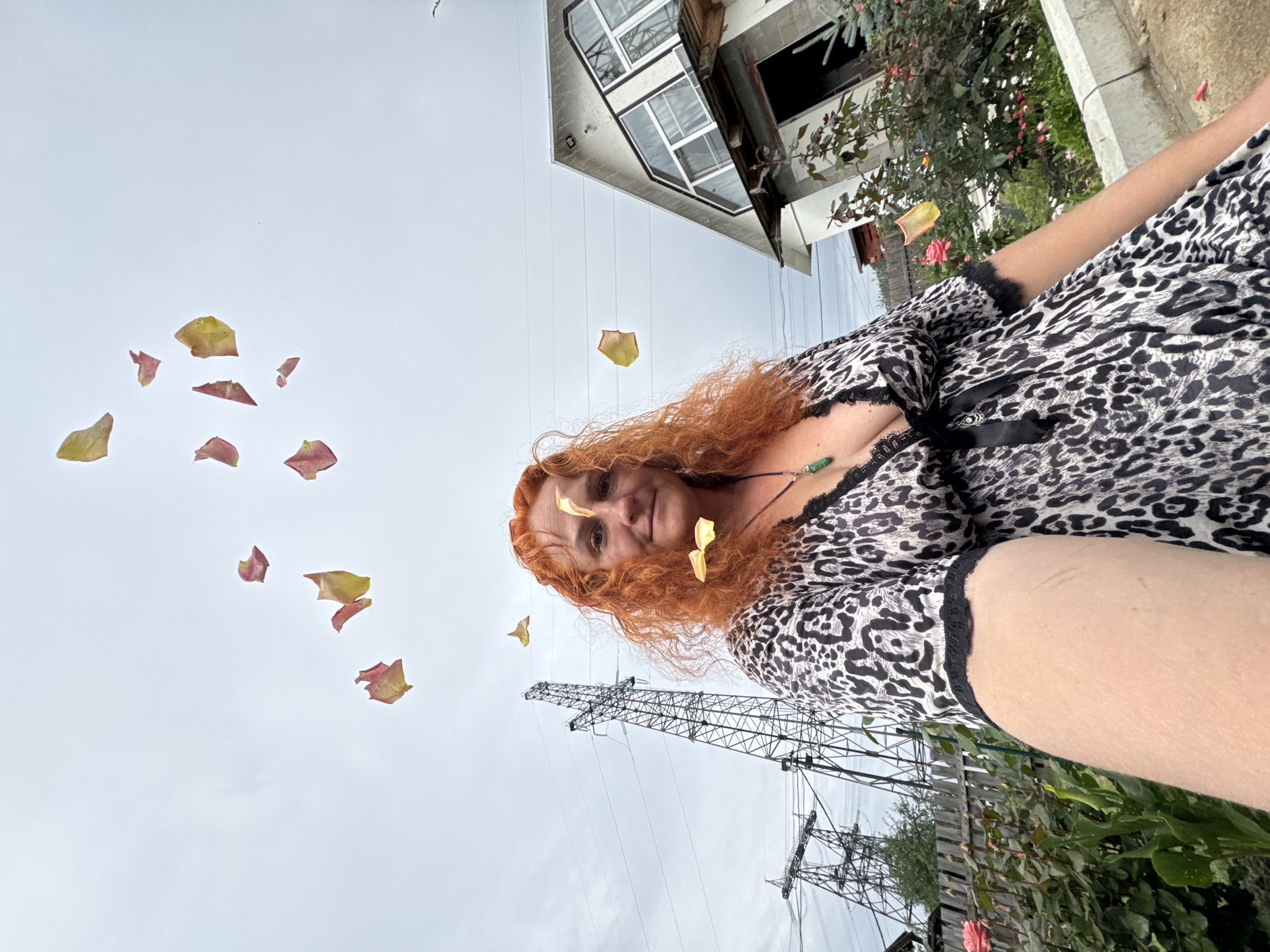 In this media file, a woman with long, red, curly hair is looking at the camera. She is wearing a black and white leopard-print dress with black lace trim. A necklace with a green pendant is visible around her neck. She appears to be outside, as rose petals are scattered in the air around her, some falling and some floating. In the background, a house with a white exterior and multiple windows is visible, along with rose bushes with pink roses. A tall, industrial-looking tower, likely a power line pylon, stands in the distance. The sky is overcast and cloudy, suggesting it is a cloudy day. The orientation of the image is rotated 90 degrees counter-clockwise. The location is identified as Chaikovsky, Russia. There is no visible text in the image. The overall mood appears to be casual and perhaps a bit whimsical due to the falling rose petals.