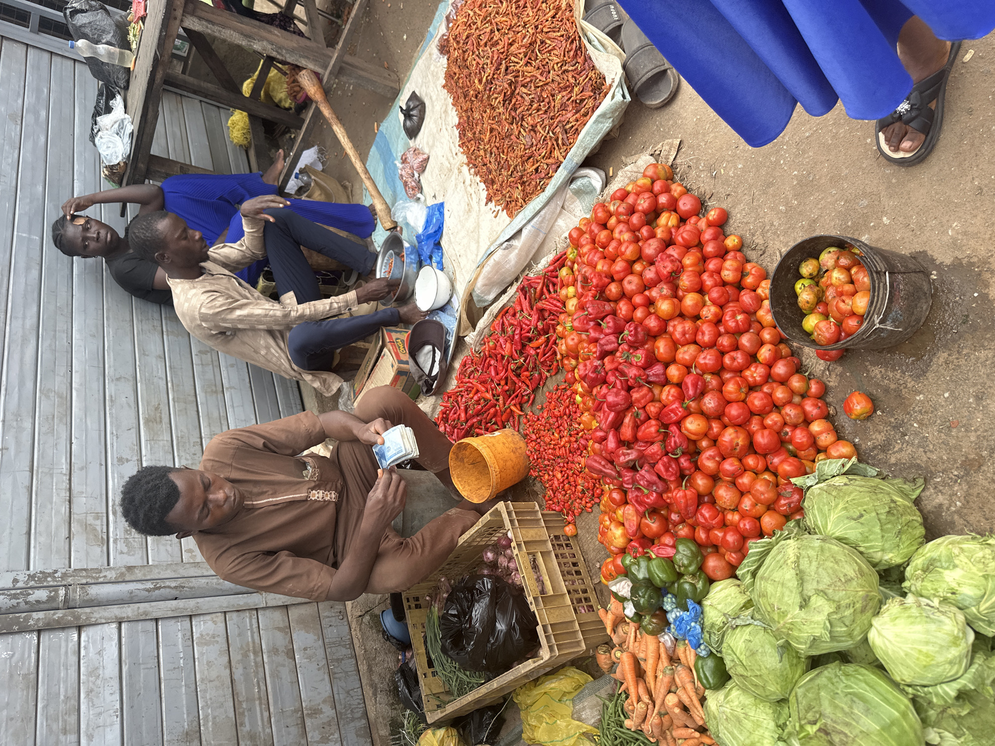 A Nigerian man in a brown tunic is counting currency notes at a market stall in Narayi, Nigeria. He is seated on the ground, with a large pile of red chili peppers to his right and a crate of green onions and red onions to his left. In front of him, there are piles of tomatoes, red bell peppers, green bell peppers, carrots, and several heads of cabbage. Behind him, another man in a light brown shirt is seated, and a woman in a black shirt and blue skirt is also seated. A wooden table is to the right, with various items on it, including a bottle of water and some bags. The ground is covered with a light-colored tarp.