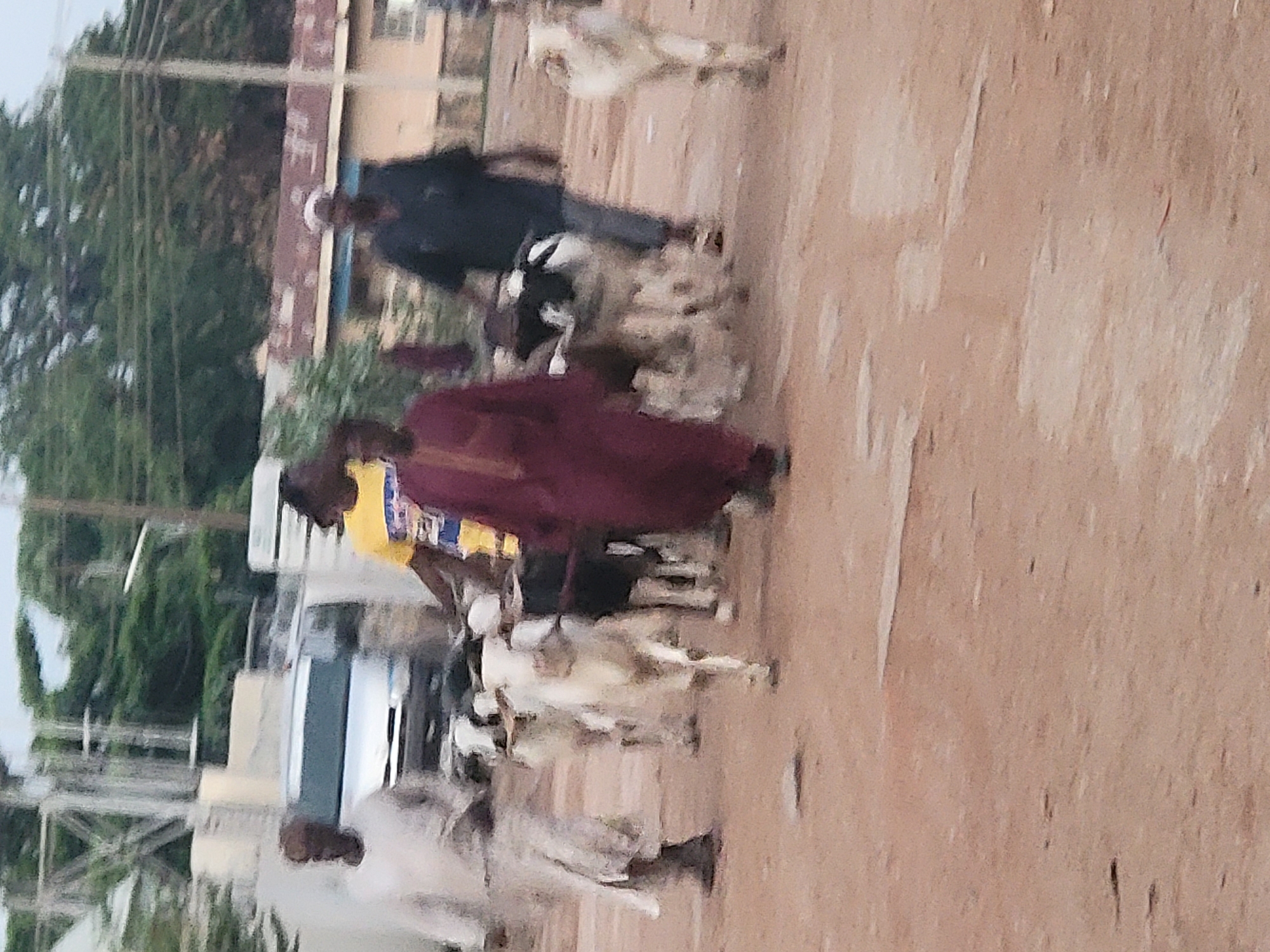 The image depicts a street scene in Barnawa, Nigeria. Several individuals are present, including men dressed in traditional clothing: one in a maroon robe, another in a yellow shirt, and a third in a white garment. They appear to be herding a group of goats along a dirt road. A vehicle, possibly a van, is partially visible in the background. Overhead power lines are visible. The setting seems to be a somewhat urban area with buildings and trees in the distance. The ground appears to be dry and dusty.