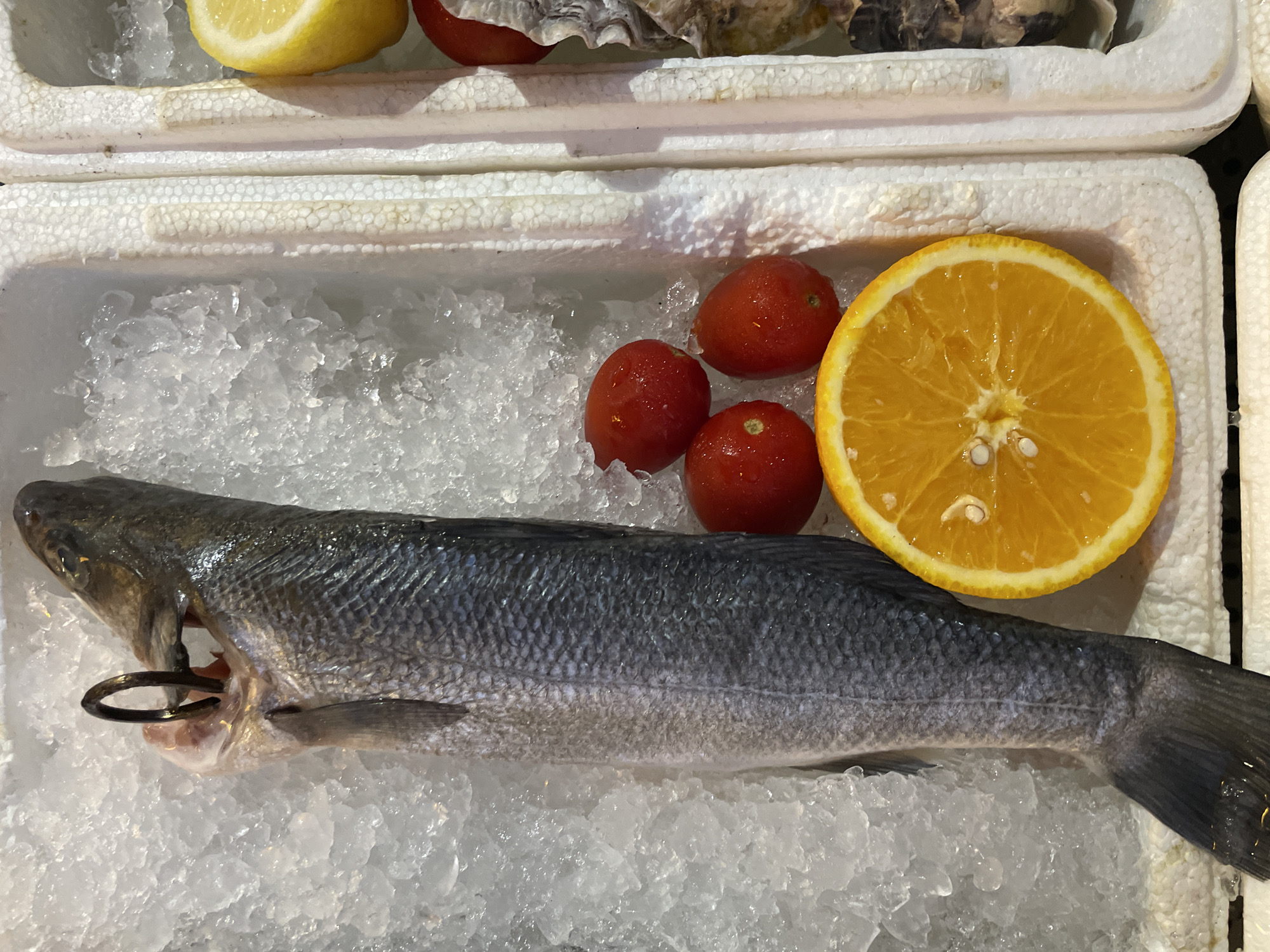 A whole, uncleaned fish, held open by a metal hook inserted through its mouth, lies on a bed of crushed ice. The fish is positioned vertically, head pointing upwards. To the right of the fish are three whole cherry tomatoes and a slice of orange. Further to the right, partially visible, is a container holding oysters. The scene is set within a styrofoam cooler, suggesting a market or food stall environment. The lighting is bright and overhead. There are no people or discernible actions occurring in the image. This scene is likely from a fish market, though its specific location in Sochi, Russia, cannot be determined from the image alone.