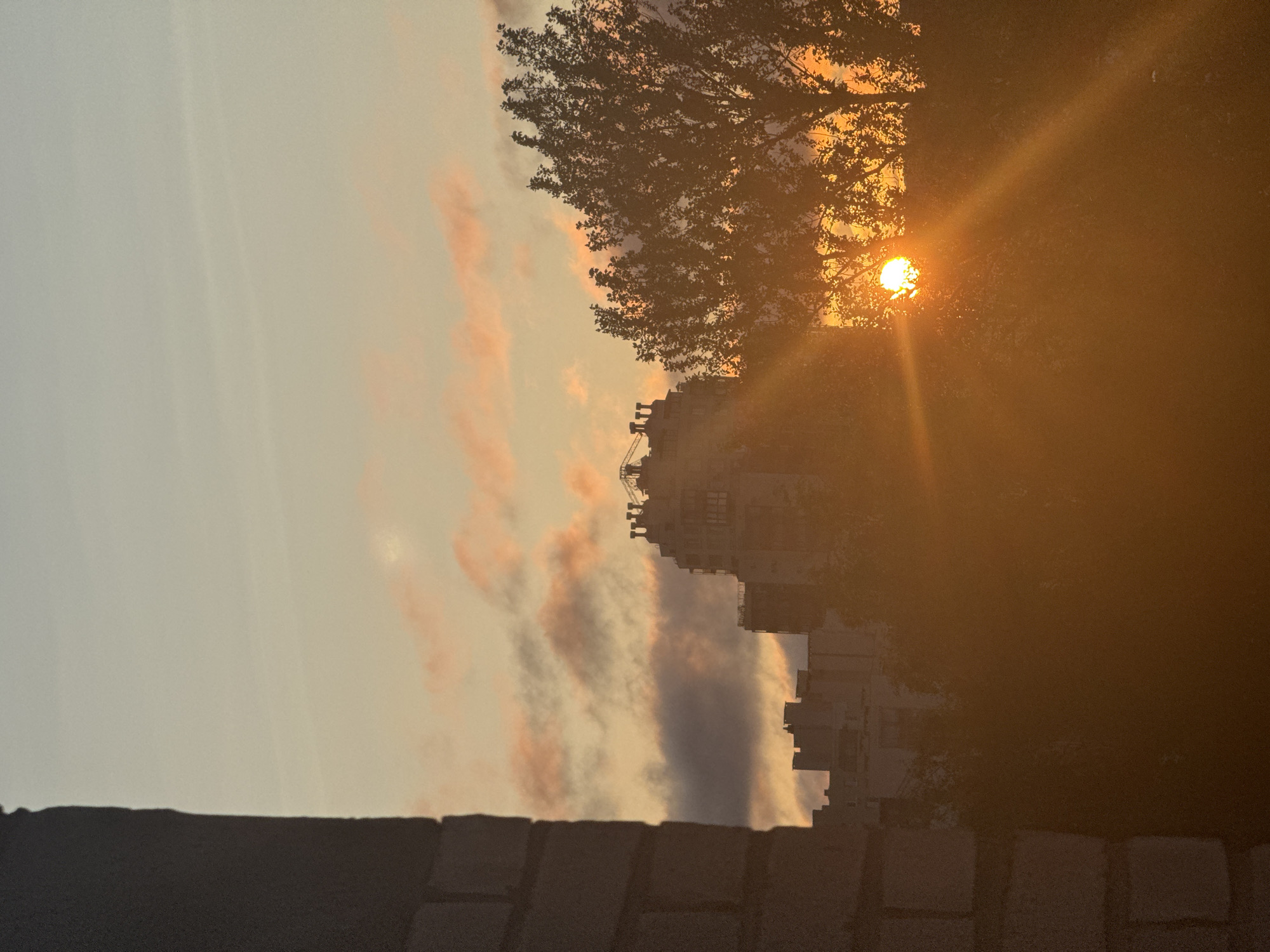 A sunset scene captures the sun peeking through the branches of a large tree, casting a warm orange glow over the city. The sun is partially obscured by the foliage, with visible rays of light fanning out. In the background, the silhouettes of apartment buildings are visible against the sky, which is colored with soft pink and orange clouds. To the left of the frame, a brick wall occupies the foreground, partially obscuring the view. The overall impression is one of a serene urban evening.