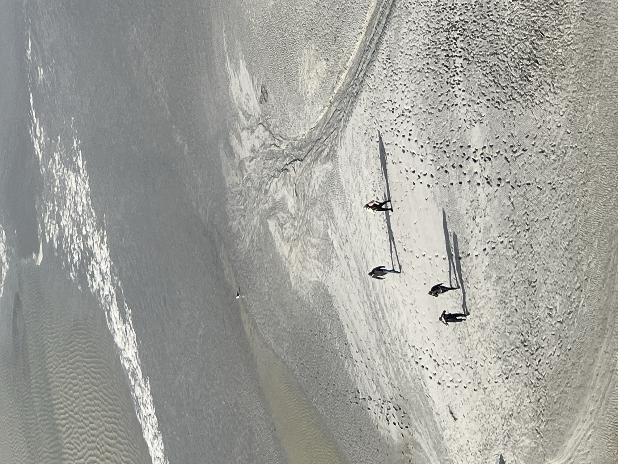 This image, captured from an elevated perspective, depicts the expansive tidal flats of Le Mont-Saint-Michel, France. The environment consists primarily of light grey sand and darker, wet sandy or muddy areas. Ripple patterns are visible on the sand in the upper left, transitioning to smoother, darker channels indicative of water flow or recent submersion. A line of white foam or turbulent water marks a receding tide in the upper portion of the frame.
Four individuals are present in the lower two-thirds of the image, walking across the sandy terrain. From left to right: one person in dark attire is bending or stooping, with another person in dark clothing walking closely behind. Further to the right and slightly higher, a third individual in a dark jacket and blue jeans walks diagonally towards the lower left. The fourth individual, positioned further right, wears dark clothing with a notable orange or red accent on their upper back, walking towards the left. All individuals cast distinct shadows towards the lower-left, indicating a light source from the upper-right.
Numerous footprints are scattered across the sand, particularly dense in the lower half of the image. In the mid-right, a prominent dendritic drainage pattern formed by water erosion is evident on the sand. Adjacent to and slightly above this pattern, a dark, figure-eight shaped object, possibly a discarded tire or coil of rope, lies on the sand. A single black and white gull stands on a wet patch of sand in the upper-middle left, facing towards the left.