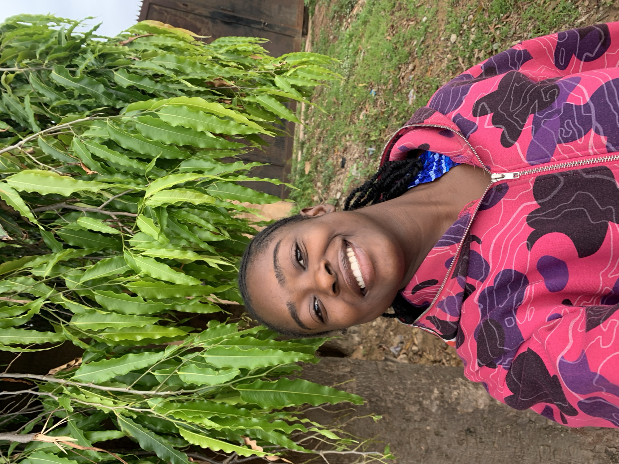 A young Black woman with braided hair smiles directly at the viewer, positioned in the lower-center of the frame. She wears a zippered hoodie predominantly bright pink, featuring abstract patterns in dark purple and black with lighter outlines. A blue garment with a wave-like texture is visible under her hoodie near the collar. Above and to her left, dense foliage of a tree with elongated, wavy green leaves is prominent, with a portion of a light brown tree trunk visible on the far left. The background to the right reveals sparse green grass and dirt, with a dark, weathered wooden or metal door or gate partially visible in the mid-ground against a light sky. The scene is set in an outdoor environment in Rafin Par, Nigeria.