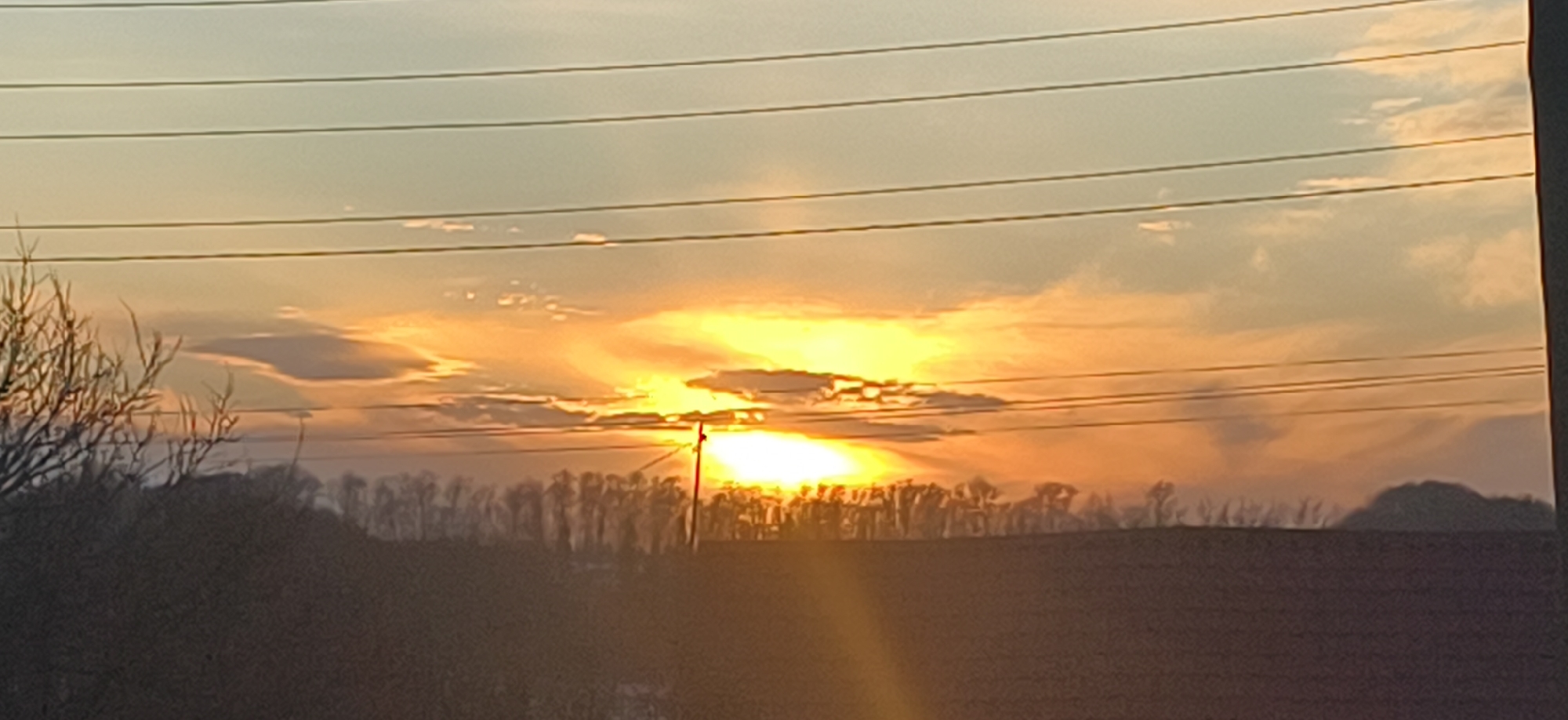 The image captures a sunset over a landscape with a blurred foreground and a focus on the horizon. Power lines stretch across the top of the frame. Below the power lines, the setting sun is visible amidst clouds, casting a bright orange glow. A line of trees is silhouetted against the bright sky. In the foreground, a dark field is visible. The location is possibly in the vicinity of the city of Фоки, Russia, based on the context of the search.