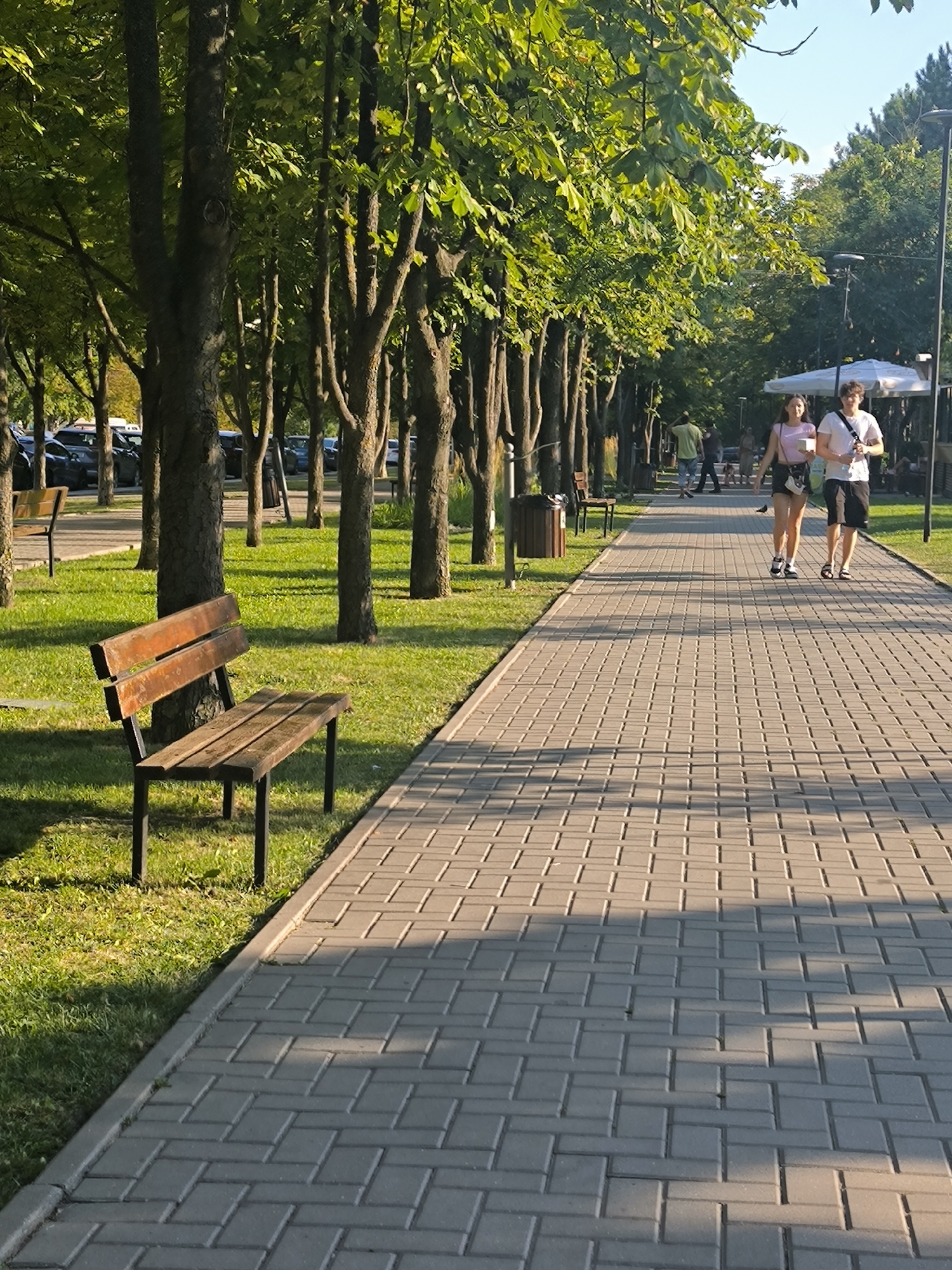 The image depicts a sun-drenched park pathway lined with trees, suggesting a public park in Chișinău, Moldova. On the left, a wooden bench with metal legs sits on a manicured lawn, partially shaded by the trees. Beyond the lawn, parked cars are visible, indicating proximity to a parking area or a street. The pathway itself is paved with light-colored rectangular bricks laid in a herringbone pattern. In the distance, two young adults, a woman and a man, are walking away from the viewer along the pathway. The woman is wearing a pink top and dark shorts, while the man is wearing a white t-shirt and dark shorts. They appear to be in conversation or casually strolling. Further down the path, other individuals and outdoor seating areas under canopies suggest the presence of a cafe or restaurant. The overall scene evokes a peaceful, leisurely atmosphere in a green urban space.