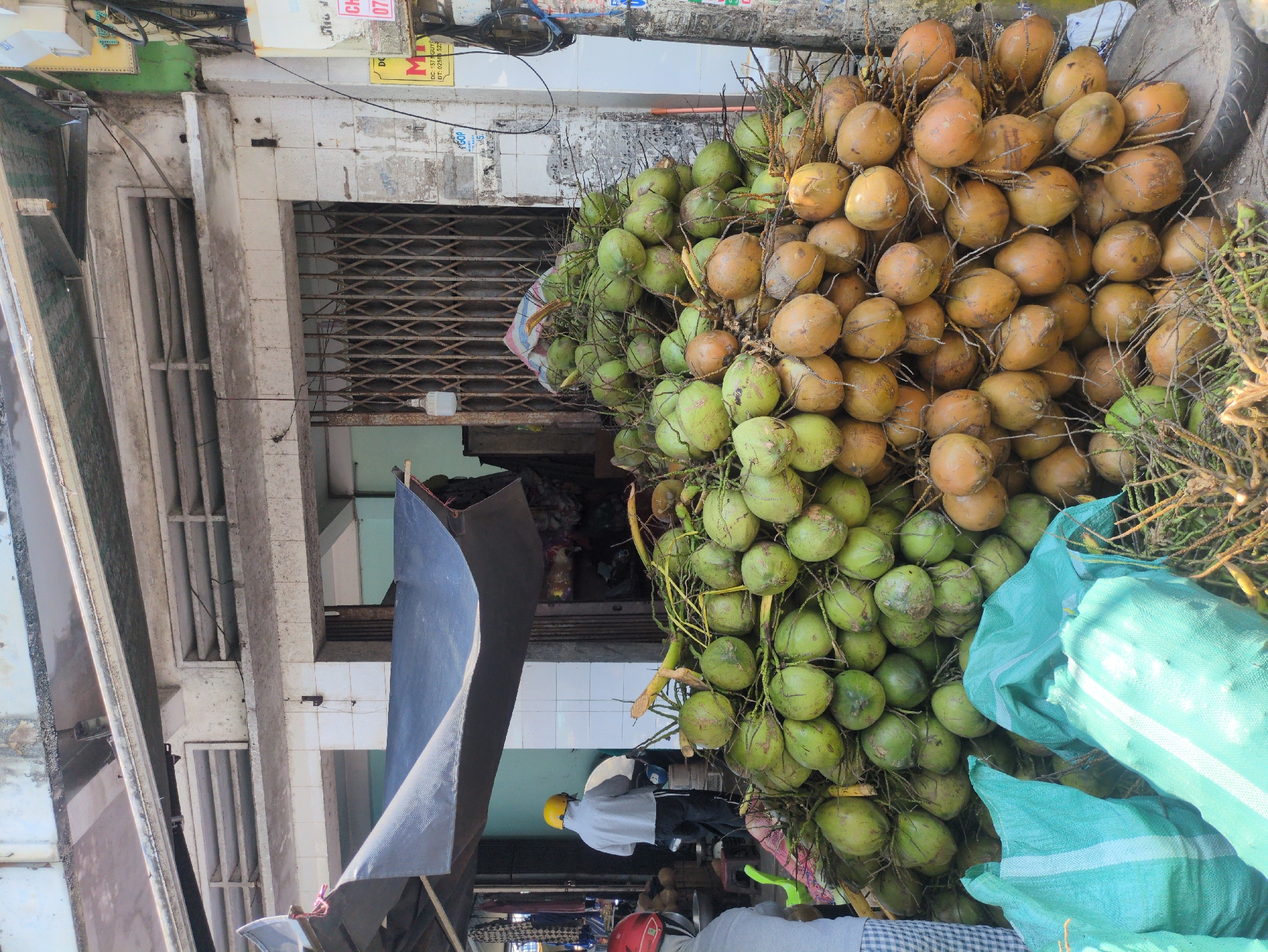 In South Quy Nhon Ward, Vietnam, a large pile of coconuts, both green and brown, sits outside a building with a closed metal roll-up door. A black tarp is partially visible on the left. Two individuals are present, one wearing a yellow helmet and a light gray shirt, and the other wearing a red helmet and a light gray shirt with a checkered pattern. Blue and green striped bags are next to the coconuts. The environment appears to be a street or sidewalk area in front of a building.