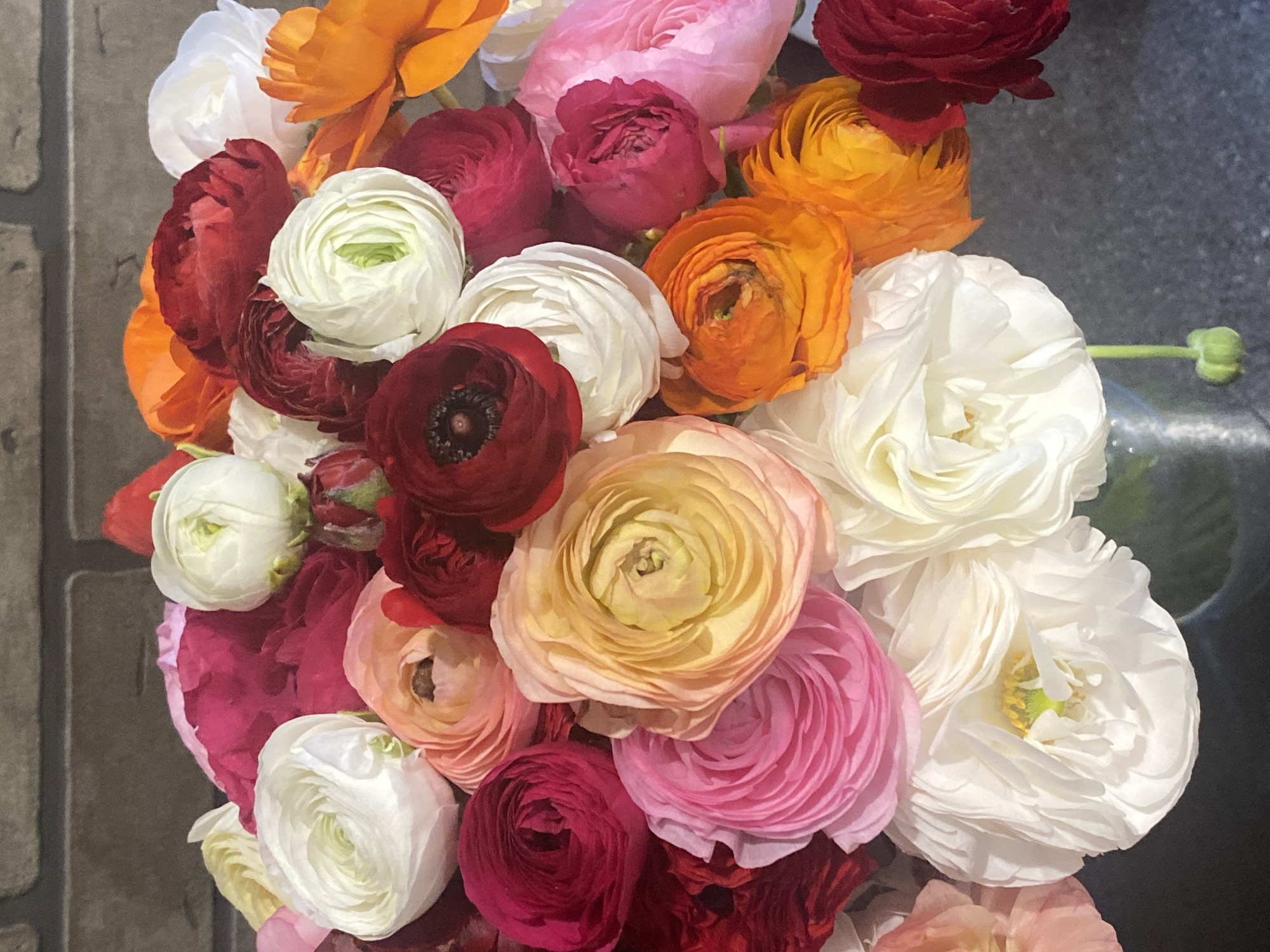 A close-up photograph shows a densely packed bouquet of colorful ranunculus flowers. The flowers are in shades of white, red, orange, yellow, and pink. The setting appears to be indoors. There is no evidence of a specific location such as Sochi, Russia.