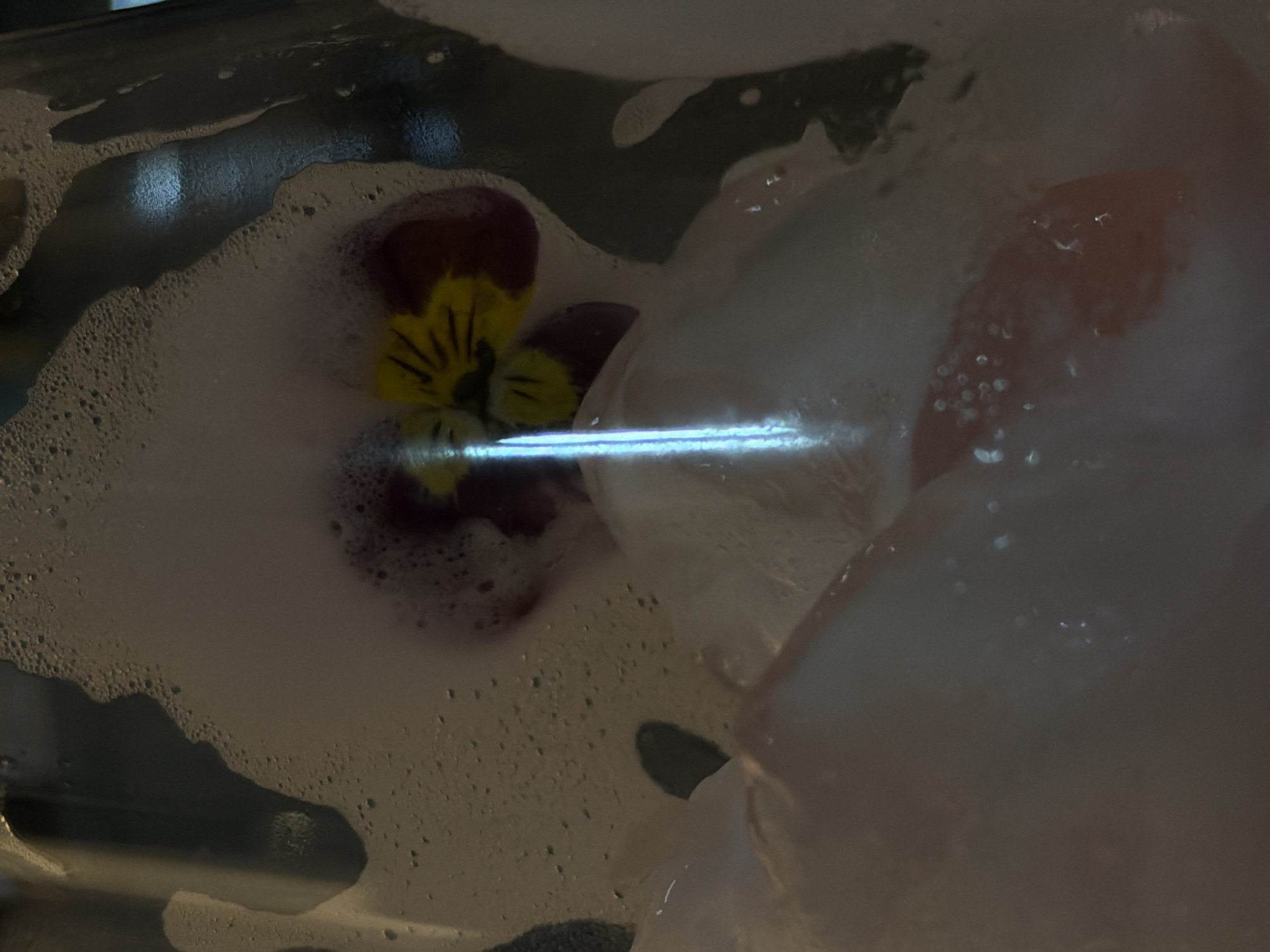 The image shows a close-up view of a pansy flower partially submerged in soapy water. The flower displays a combination of yellow and burgundy colors. The soapy water surrounds the flower, with bubbles of varying sizes scattered throughout. The presence of soap and water suggests a cleaning or washing process. The location, Bishkek City, Kyrgyzstan, is not directly evident from the image.