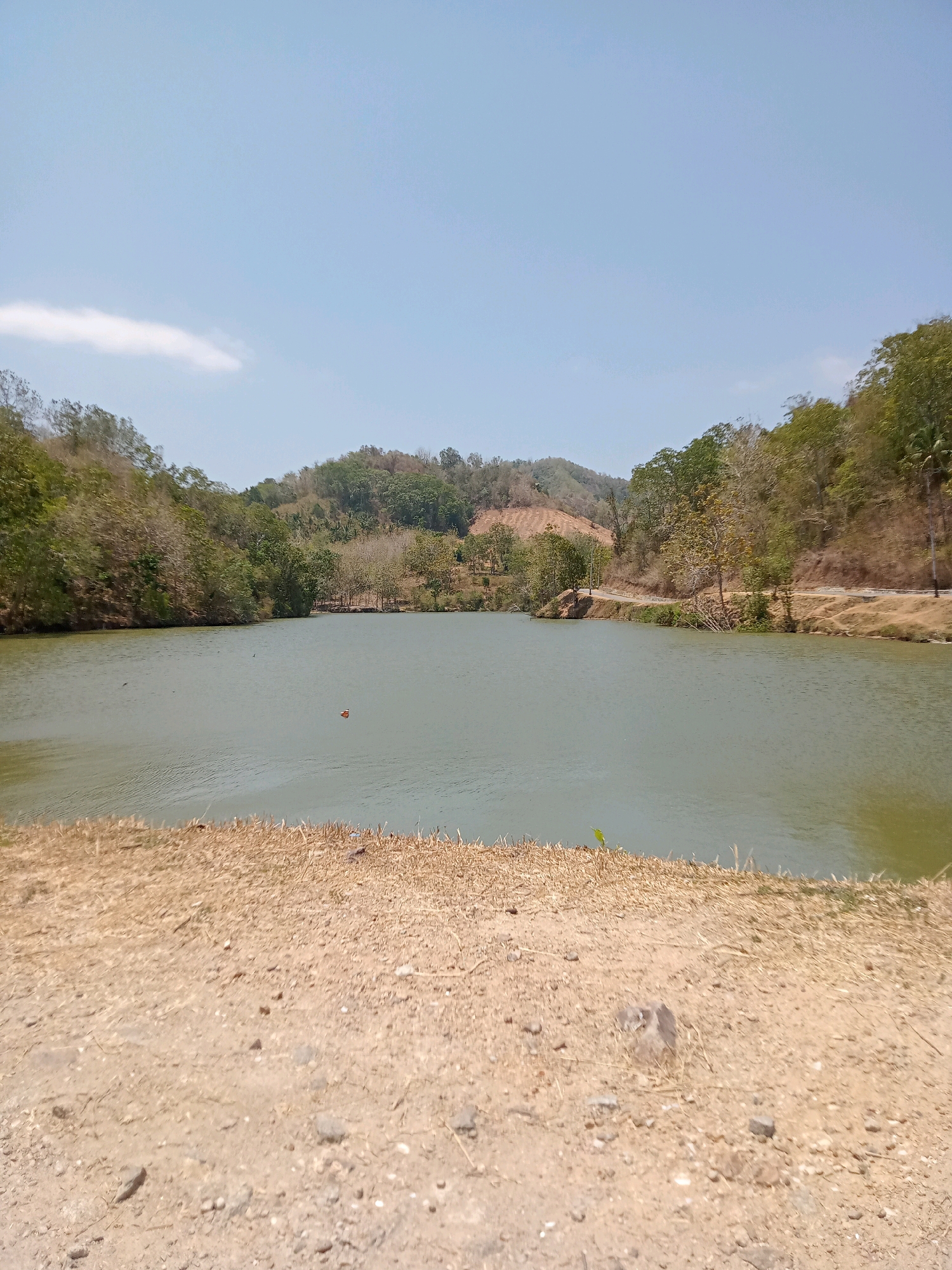 The image depicts a serene natural landscape, likely a reservoir or a large pond, situated in the city of Luhu, Indonesia. The water body occupies the central and lower portion of the frame, its surface a muted greenish-gray, reflecting the overcast sky. The banks of the water body are lined with dry, golden-brown grasses and soil, suggesting a warm, possibly dry, season.
Surrounding the water is a verdant, undulating terrain covered with a mix of trees and vegetation. The hills are densely forested in some areas, with a mosaic of green and dry, autumnal colors in others, indicative of a tropical or subtropical climate that experiences distinct wet and dry periods. A dirt road is visible winding along the hillside in the background, with a few scattered trees and bushes along its edge. The sky above is a pale blue with a single wispy cloud.
In the water, a small, reddish-orange object, possibly a buoy or a piece of debris, is visible slightly off-center. A few dark specks on the water's surface might be small birds or ripples. No people are present in the scene. The overall impression is one of natural tranquility and a semi-rural setting within Luhu.