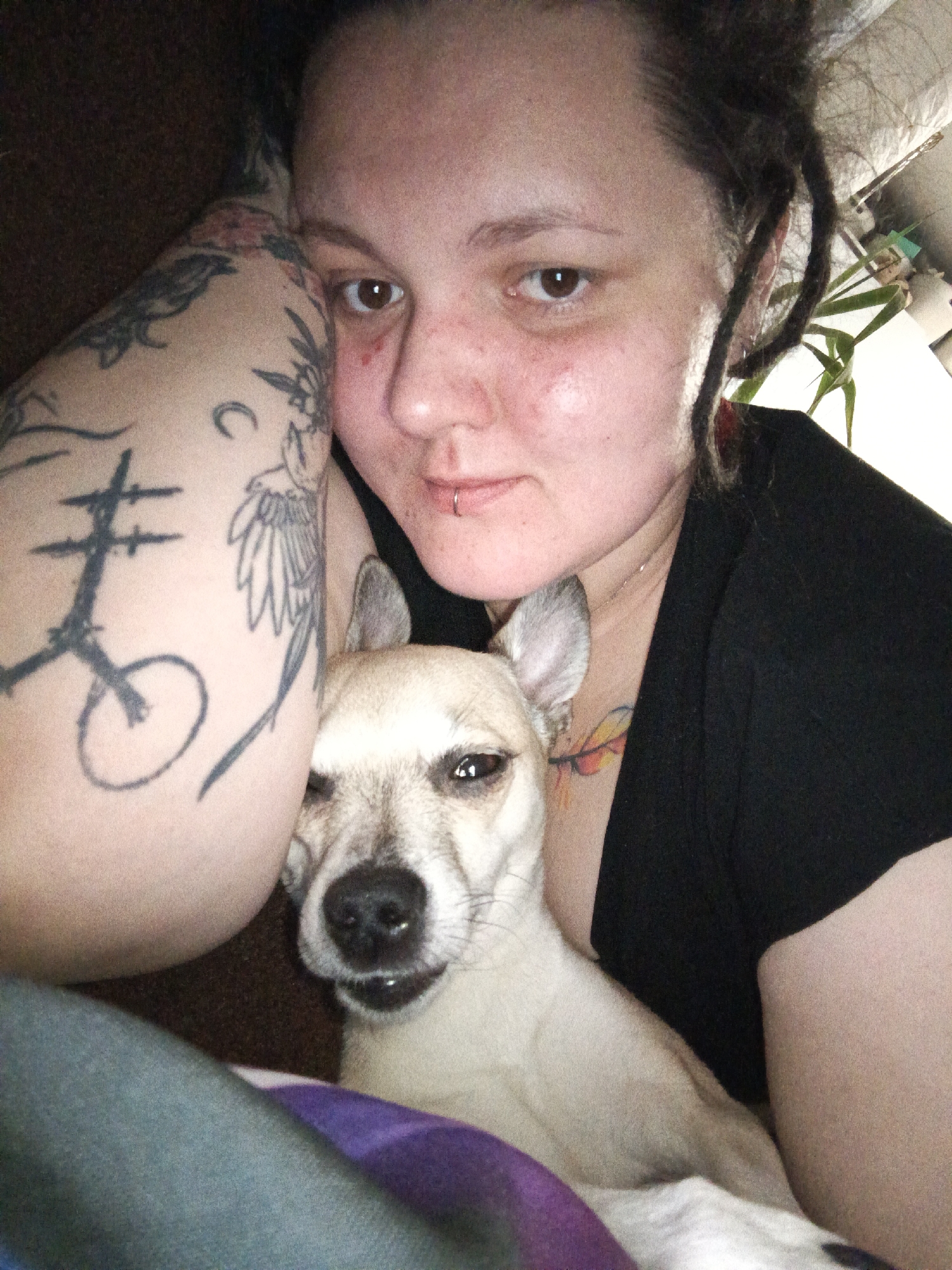 An indoor scene in Chaikovsky, Russia, depicts a person and a small dog in close proximity. The person, appearing female, possesses a light complexion, dark hair styled partially in dreadlocks, brown eyes, and a labret piercing below the lower lip. Visible tattoos adorn the left arm, including a prominent stylized cross-like symbol, a crescent moon, and floral or winged motifs. A colorful tattoo is also visible on the upper chest. The person is wearing a black garment and is positioned lying down, looking directly at the camera.
Adjacent to the person is a small dog, possibly a Chihuahua mix, with light tan fur and pointed ears, also looking towards the camera with a slightly open mouth, revealing teeth. The dog's muzzle has some darker shading.
The background suggests a domestic environment, with a dark, textured surface on the left and lighter-colored walls or objects on the right. A green houseplant is visible in the upper right quadrant of the image. The foreground shows sections of a purple and teal-green blanket or fabric. The lighting appears soft and indirect.