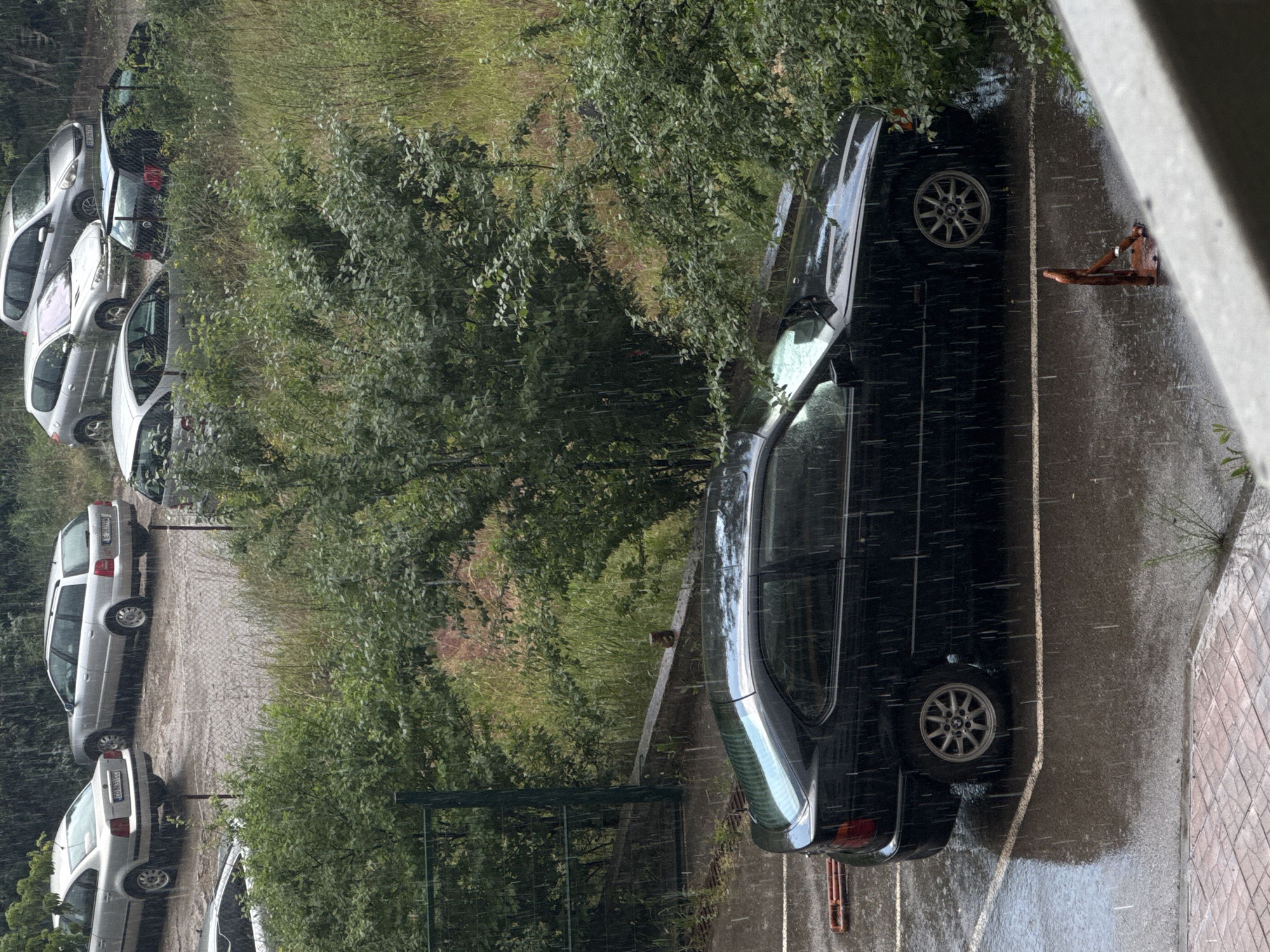 The image depicts a rainy day in a city, likely Sofia, Bulgaria, with several cars parked in an outdoor lot. The foreground is dominated by a black BMW hatchback with its rear tire visible, parked in a marked spot. The ground is wet and reflects the light from the overhead sky, indicating heavy rainfall. In the background, more cars are visible, including a silver station wagon and a silver hatchback. The surroundings are filled with lush green trees and overgrown vegetation. A metal fence and a brick pathway are also present, adding to the urban setting. The scene is captured from an elevated perspective, suggesting the photographer is looking down from a building or a higher ground.