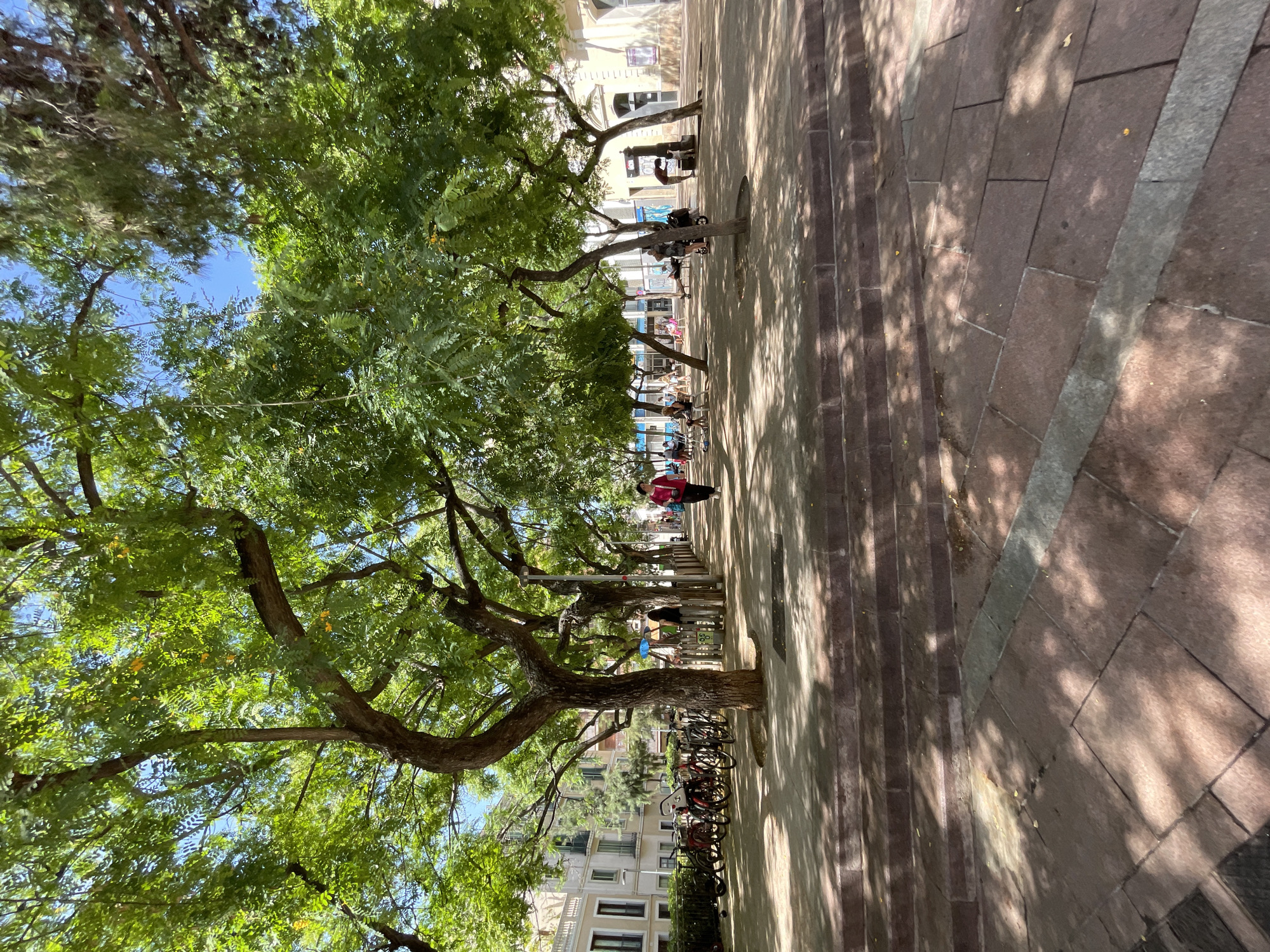 The image depicts a sun-dappled public square in Barcelona, Spain, likely during daylight hours. Lush green trees with thick trunks and branches dominate the scene, casting dappled shadows on the stone-paved ground. In the background, light-colored buildings with balconies line the edge of the square.
Several people are visible within the square. On the left, a cluster of bicycles is parked. Further into the square, individuals are seated at tables, some appearing to be patrons of an outdoor cafe. One woman in a pink top walks away from the camera on the right side of the square, carrying a bag. Another individual is bent over near a water fountain. Children's strollers are also present. The overall atmosphere is one of relaxed, everyday activity in an urban park setting.