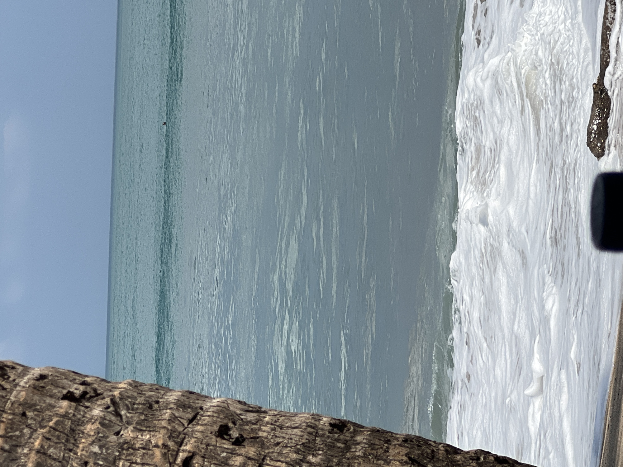 The image depicts a beach scene in Kuta, Indonesia. In the foreground, the rough, textured bark of a large tree trunk occupies the left side of the frame. The ocean stretches out beyond, with gentle waves creating white foam as they approach the shore. In the mid-ground, a person can be seen swimming in the turquoise water. The horizon line is clearly defined, separating the ocean from a pale blue sky with scattered clouds. The overall atmosphere is serene and natural.