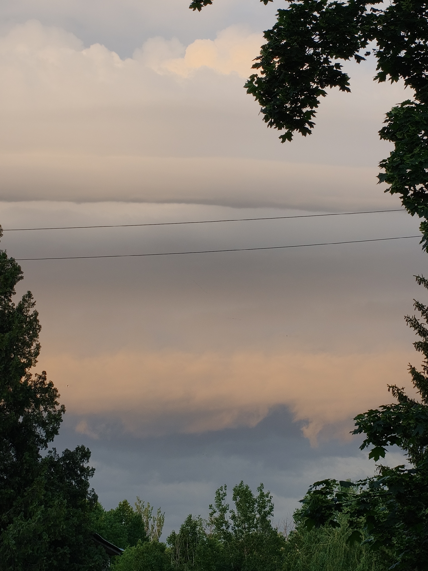 The image shows a view of the sky framed by trees. A layer of orange-tinted clouds rests between layers of grey clouds. Two parallel power lines stretch horizontally across the image's center. The bottom portion features green trees of varying heights and foliage. The upper corners of the photo are framed by the dark foliage of what appear to be maple trees. There is no indication of the location being in Kryvyi Rih, Ukraine.