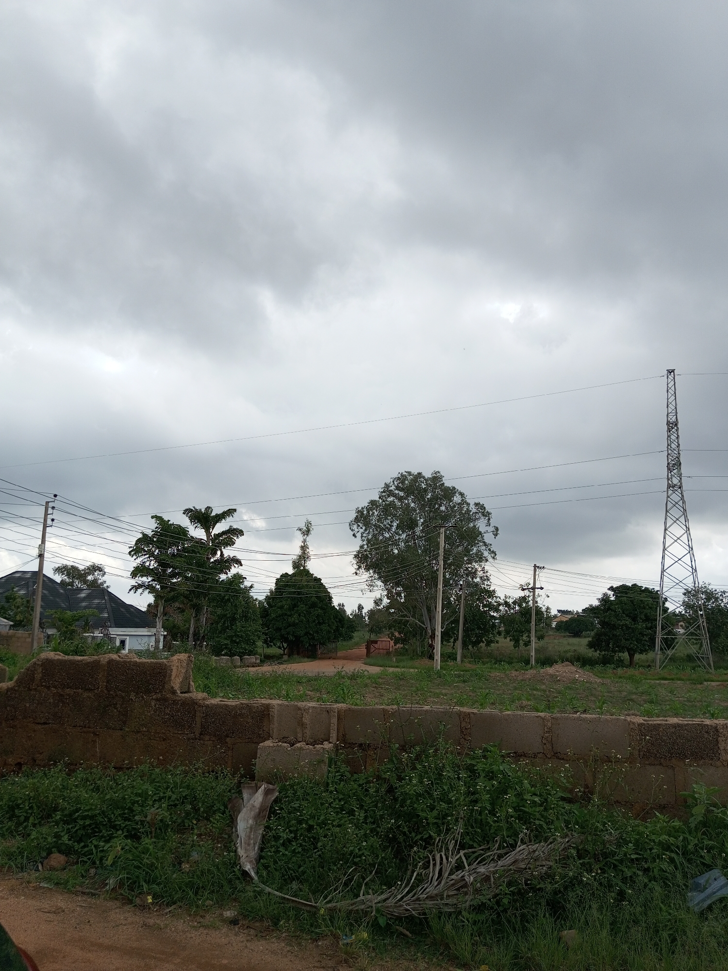 The image depicts an overcast sky above a rural or semi-rural landscape in Gura Top, Nigeria. In the foreground, a low, unfinished brick wall made of concrete blocks runs horizontally across the frame, with dense green vegetation growing around and over it. To the left of the wall, a dirt road is visible.
Behind the wall, the landscape consists of a grassy field dotted with various trees and bushes. Several power poles with electrical wires crisscross the scene. On the left side, a building with a dark, sloped roof and white walls is partially visible amongst the trees. To the right, a tall, lattice-like metal tower, likely a transmission tower, stands prominently against the cloudy sky. Other trees, including a palm tree, are scattered throughout the middle ground. The overall impression is one of an undeveloped or developing area under a heavy, gray sky. There are no people or animals visible in the image.