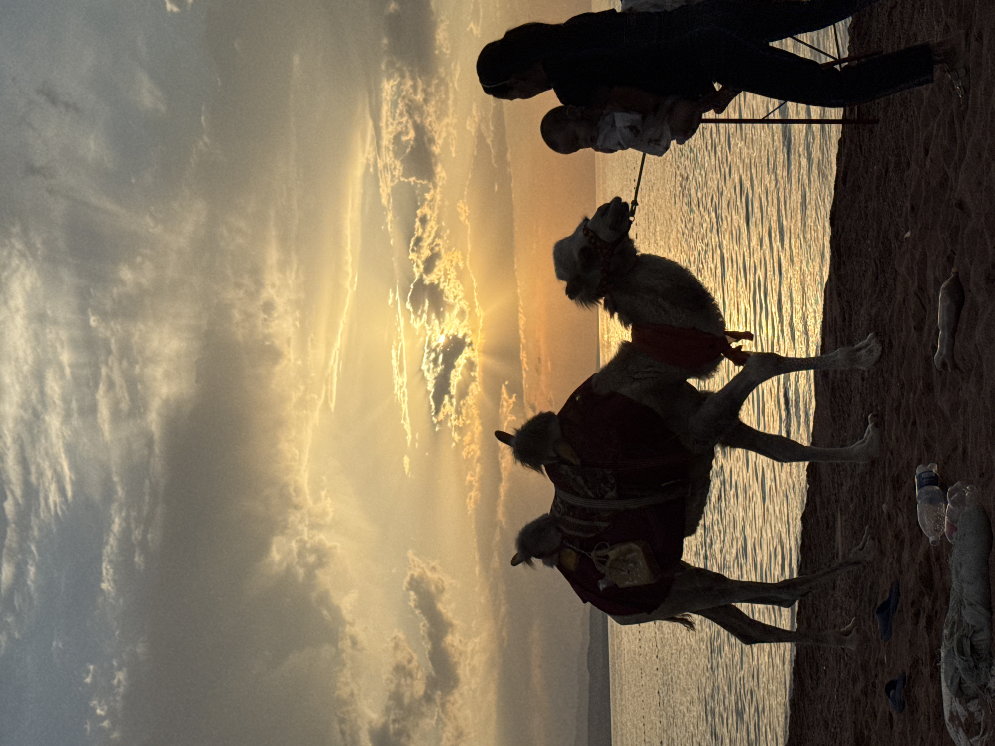At sunset on a sandy beach, a person holds a baby while leading a camel. The camel is adorned with a saddle and decorative coverings. In the background, the sea stretches towards the horizon, reflecting the warm hues of the setting sun. The sky is filled with dramatic clouds, through which rays of sunlight break. The scene appears to be in Каджи-Сай 2, Kyrgyzstan.