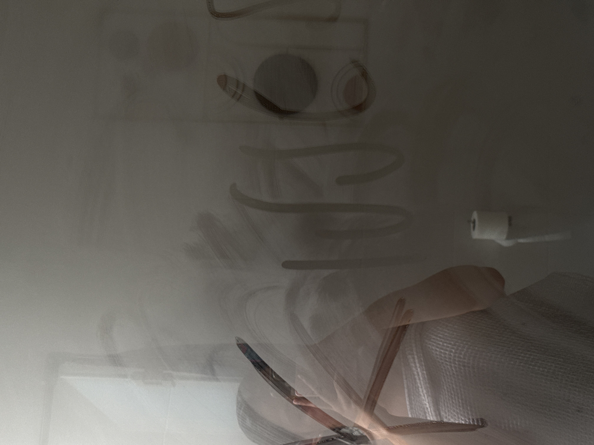 The image, likely a blurry photograph, depicts a bathroom scene. A person stands in front of a mirror with the word "BIENVENIDA" written on it in condensation or a similar medium. The person appears to be holding a make-up brush. A roll of toilet paper is visible on the right side of the frame, mounted to the wall. The location cannot be determined from the image.